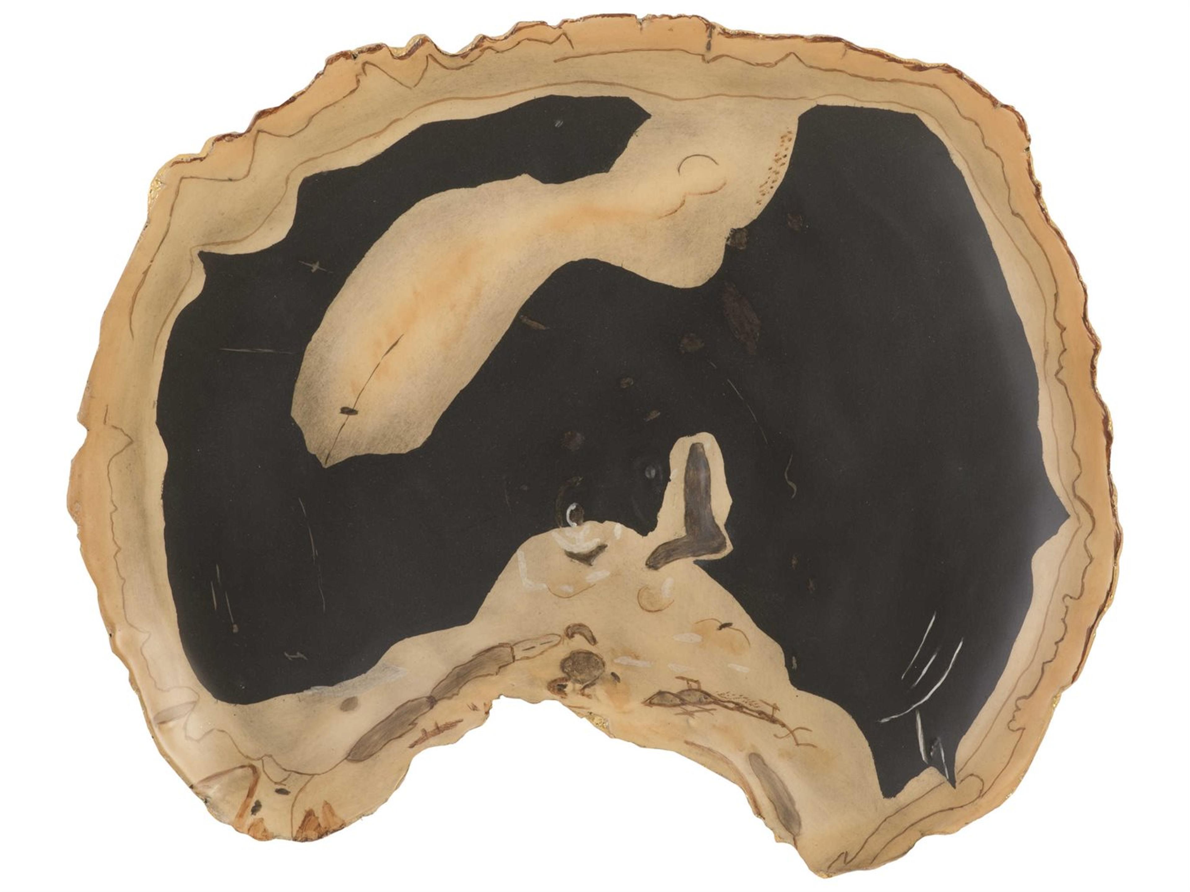 Cast Petrified Wood Tray Wall Art