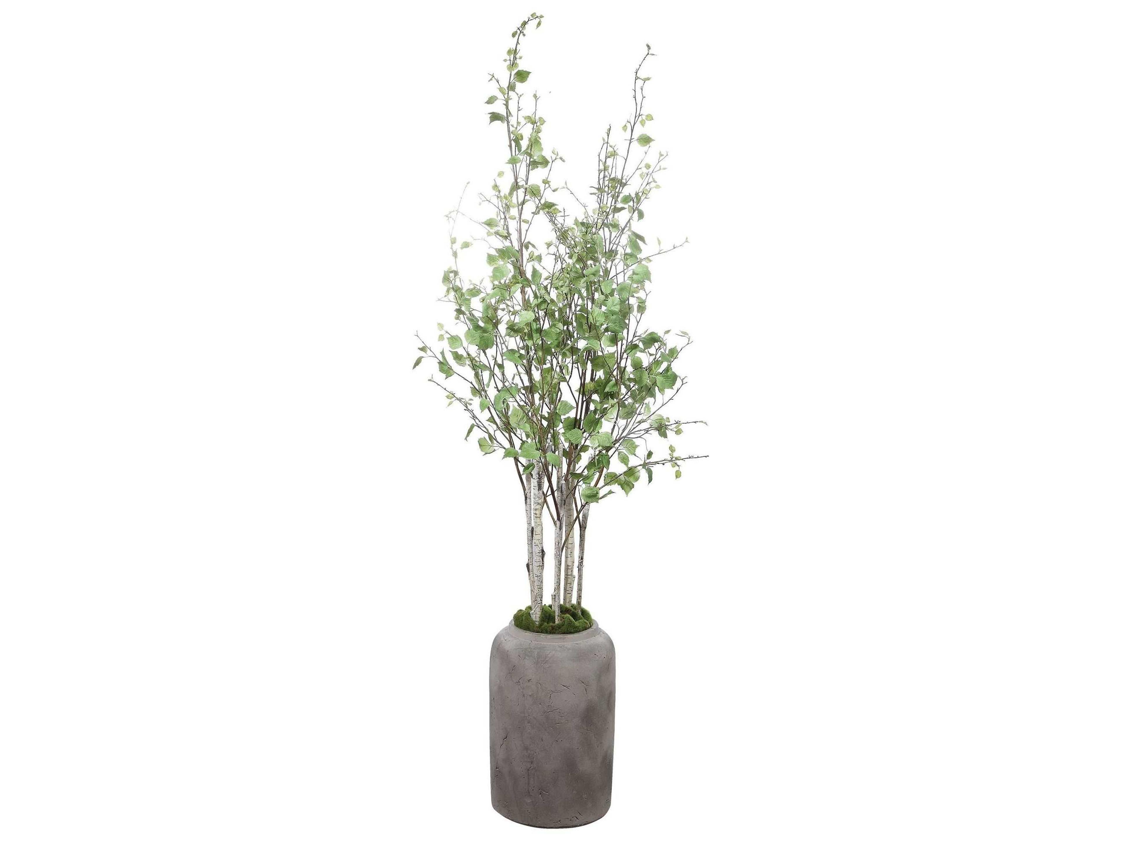 Uttermost Aldis Decorative Accent