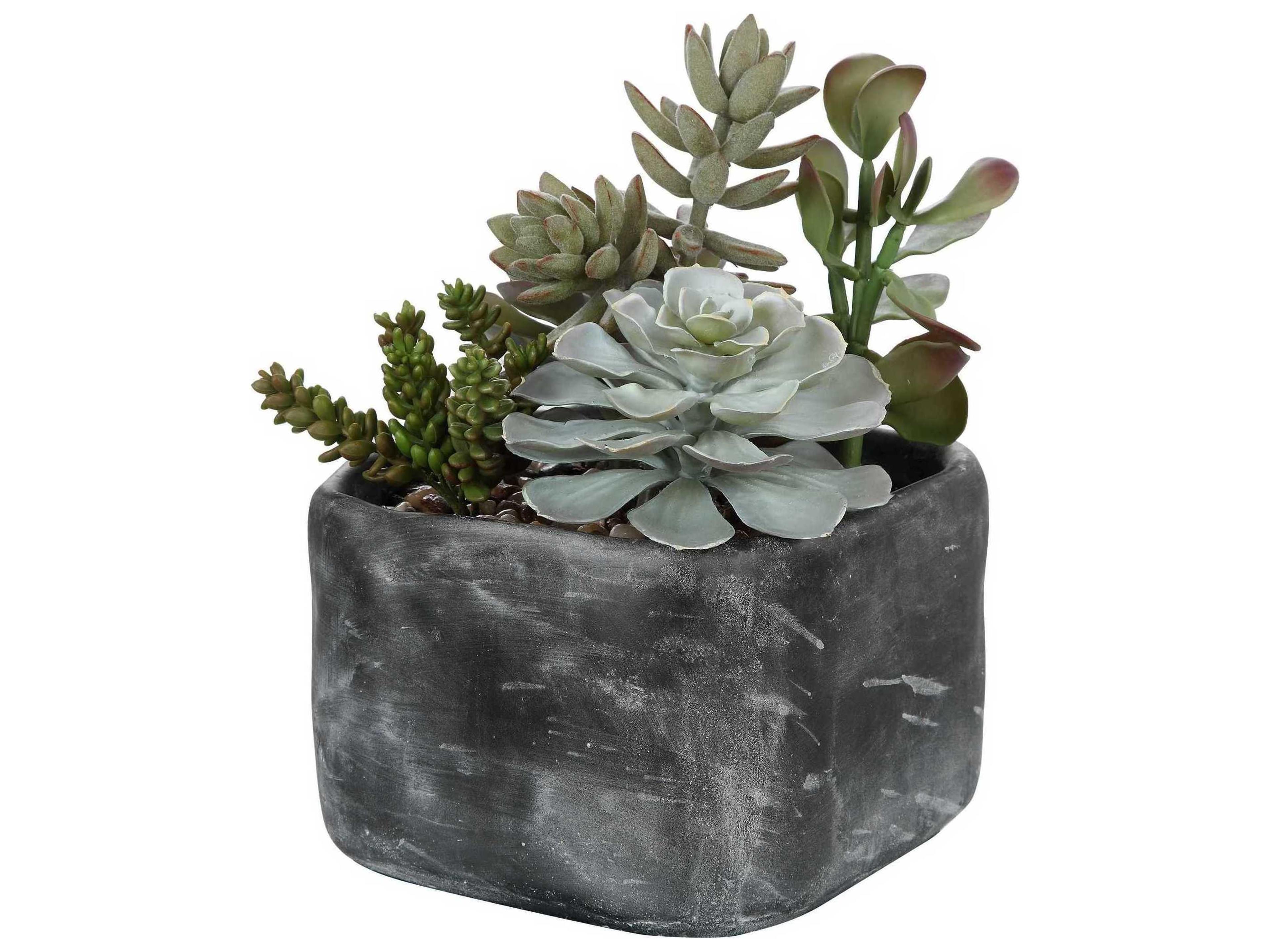 Uttermost Alverio Charcoal Gray Desert Garden Succulents
