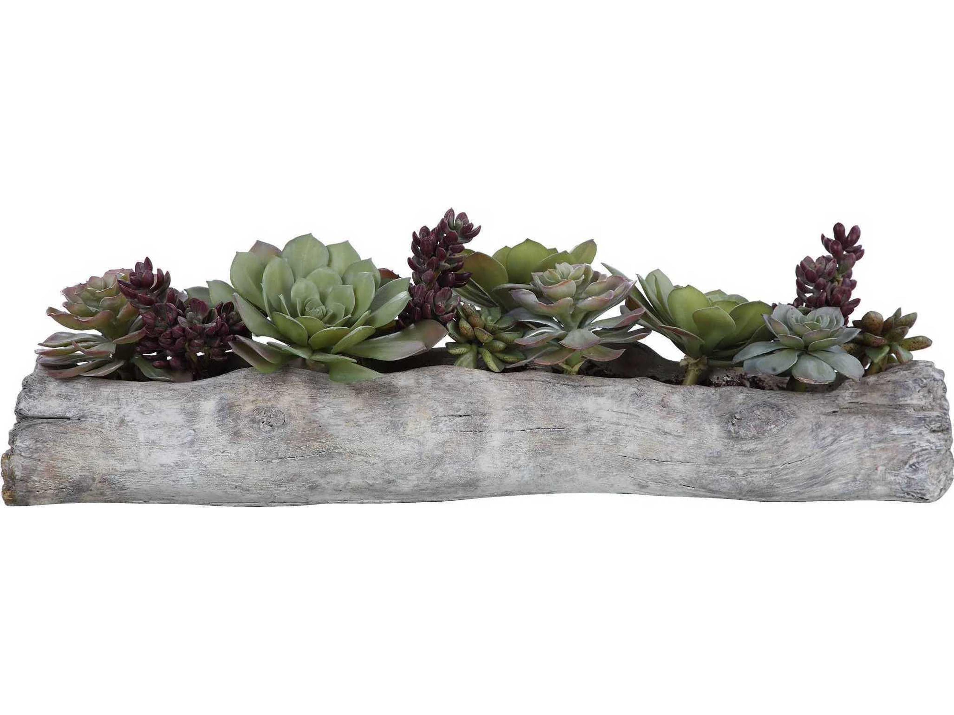 Uttermost Charita Lush Succulents