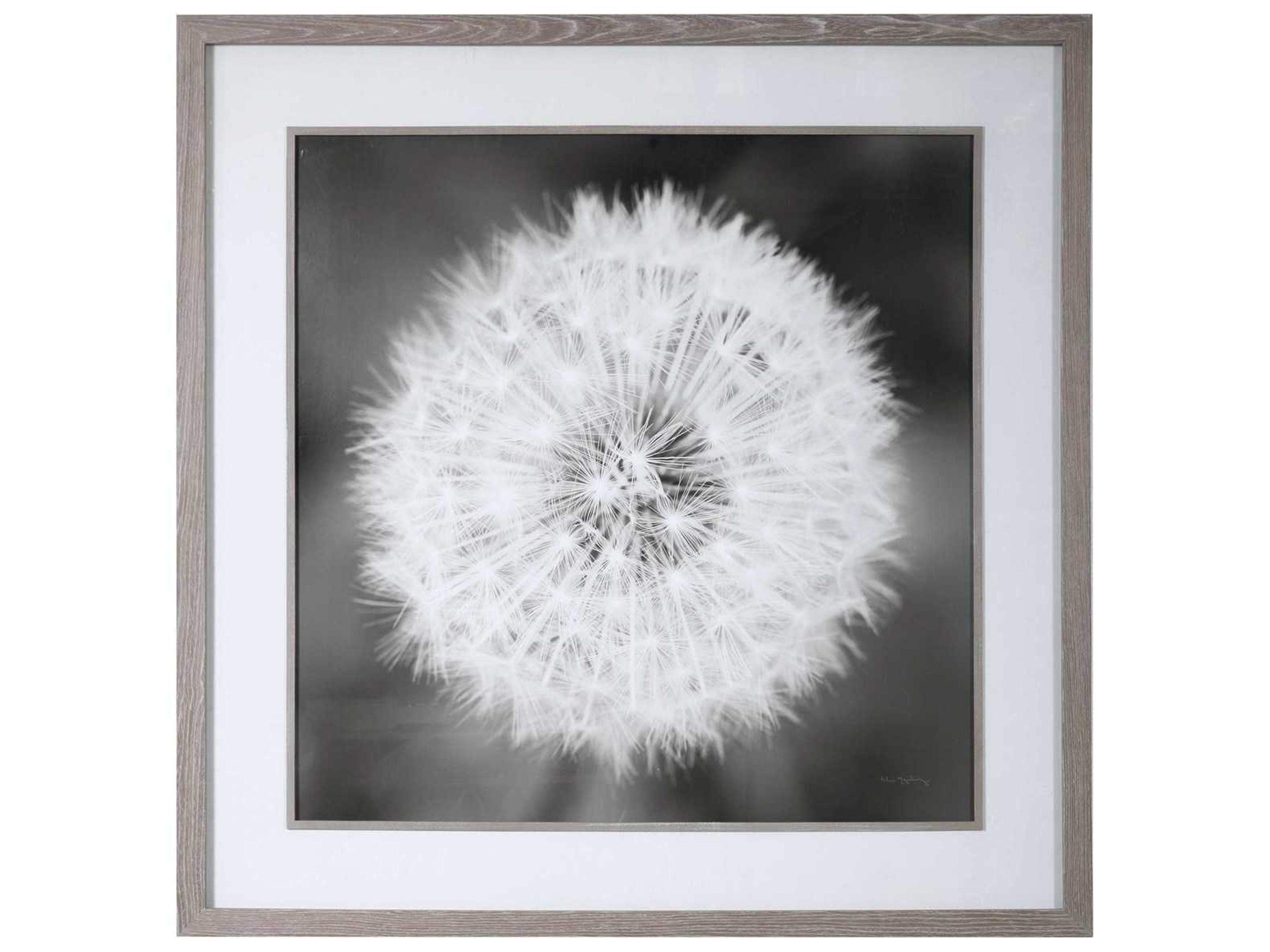 Uttermost Dandelion Seedhead Canvas Wall Art
