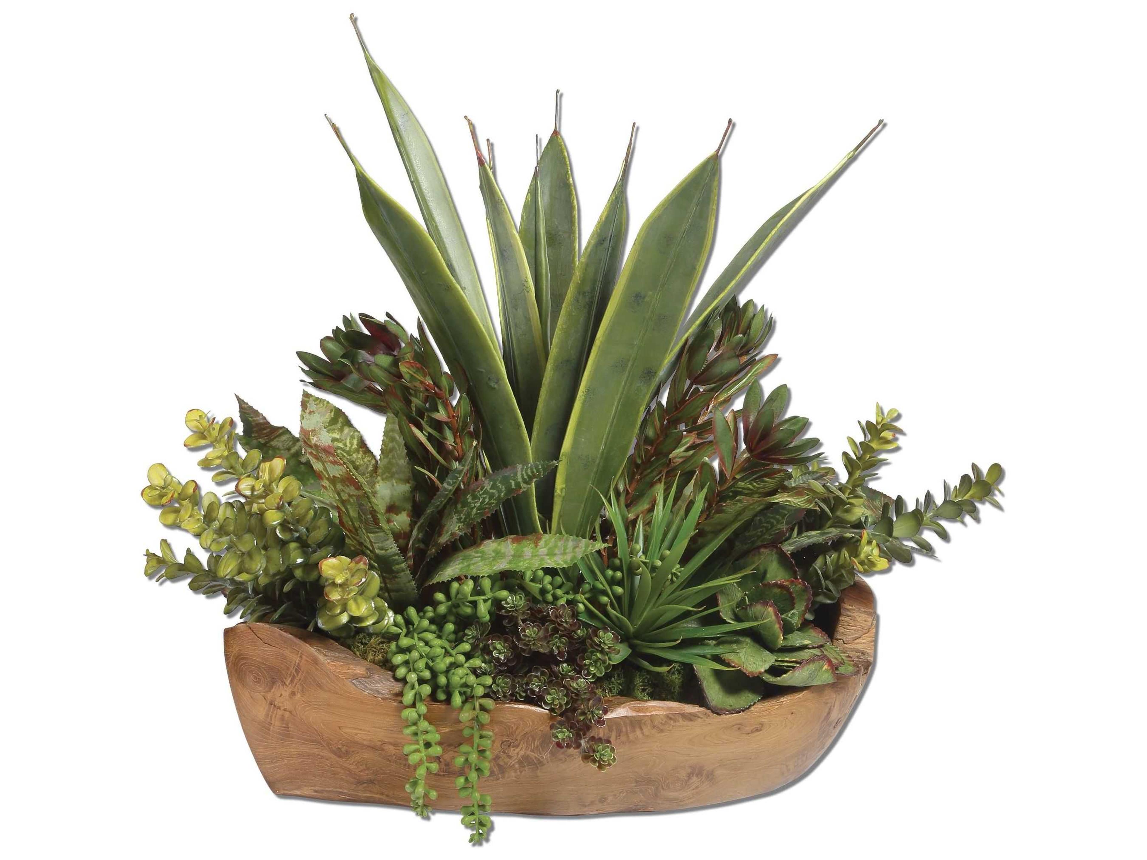 Uttermost Salar Succulents in Teak Bowl