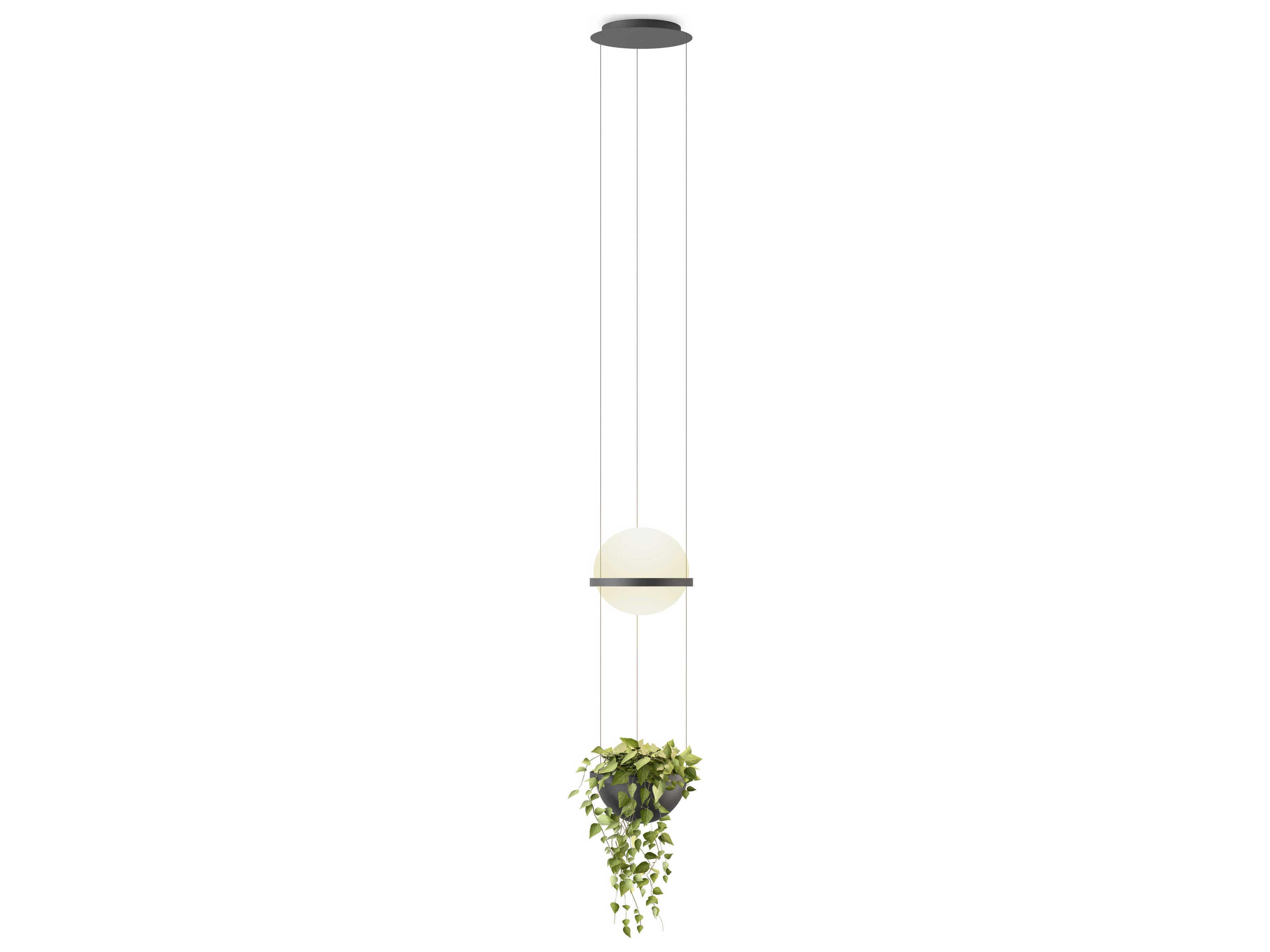 Palma 2-Light Gray Glass LED Globe Linear Mini Pendant