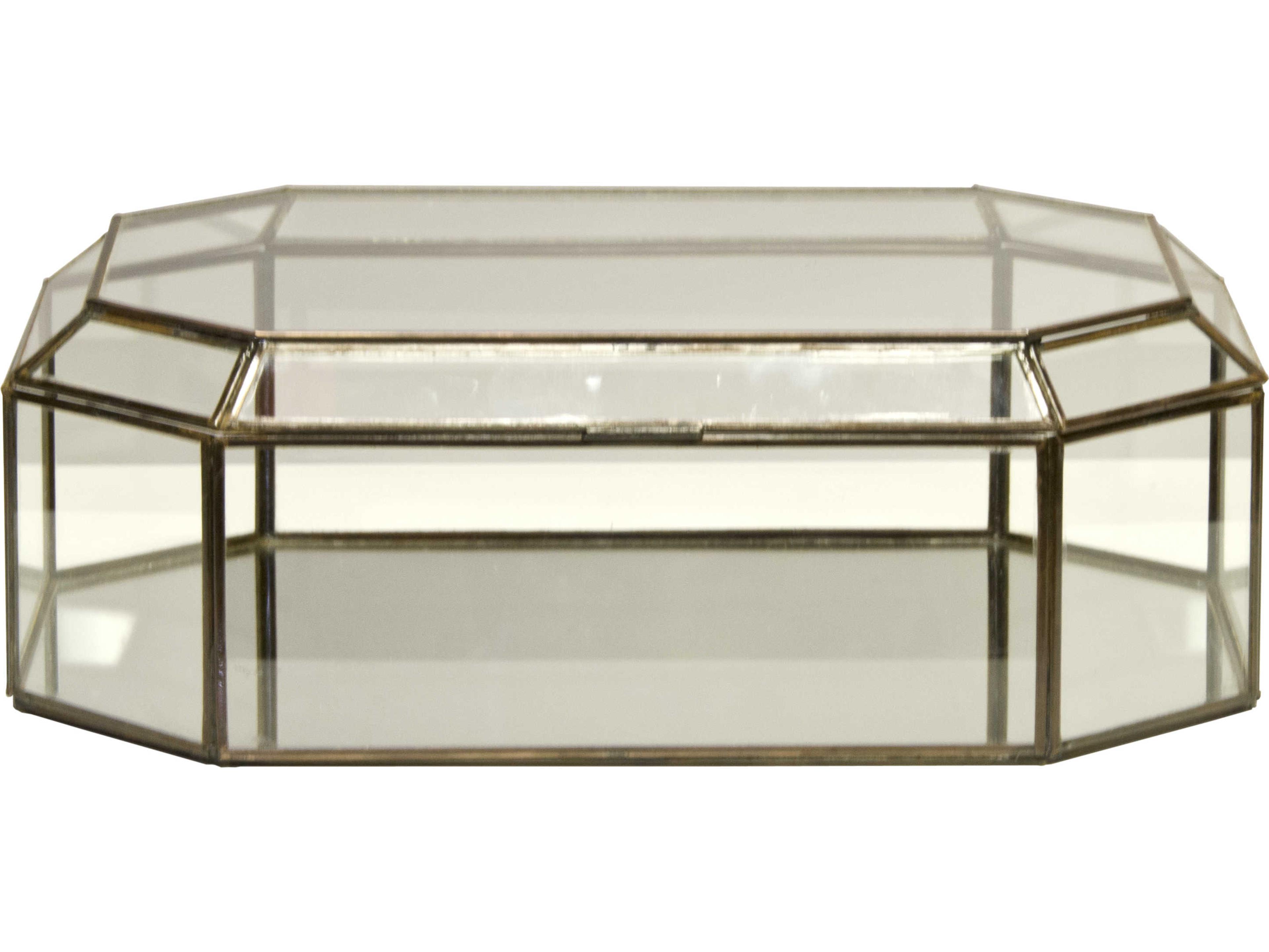 Worlds Away Storage Case