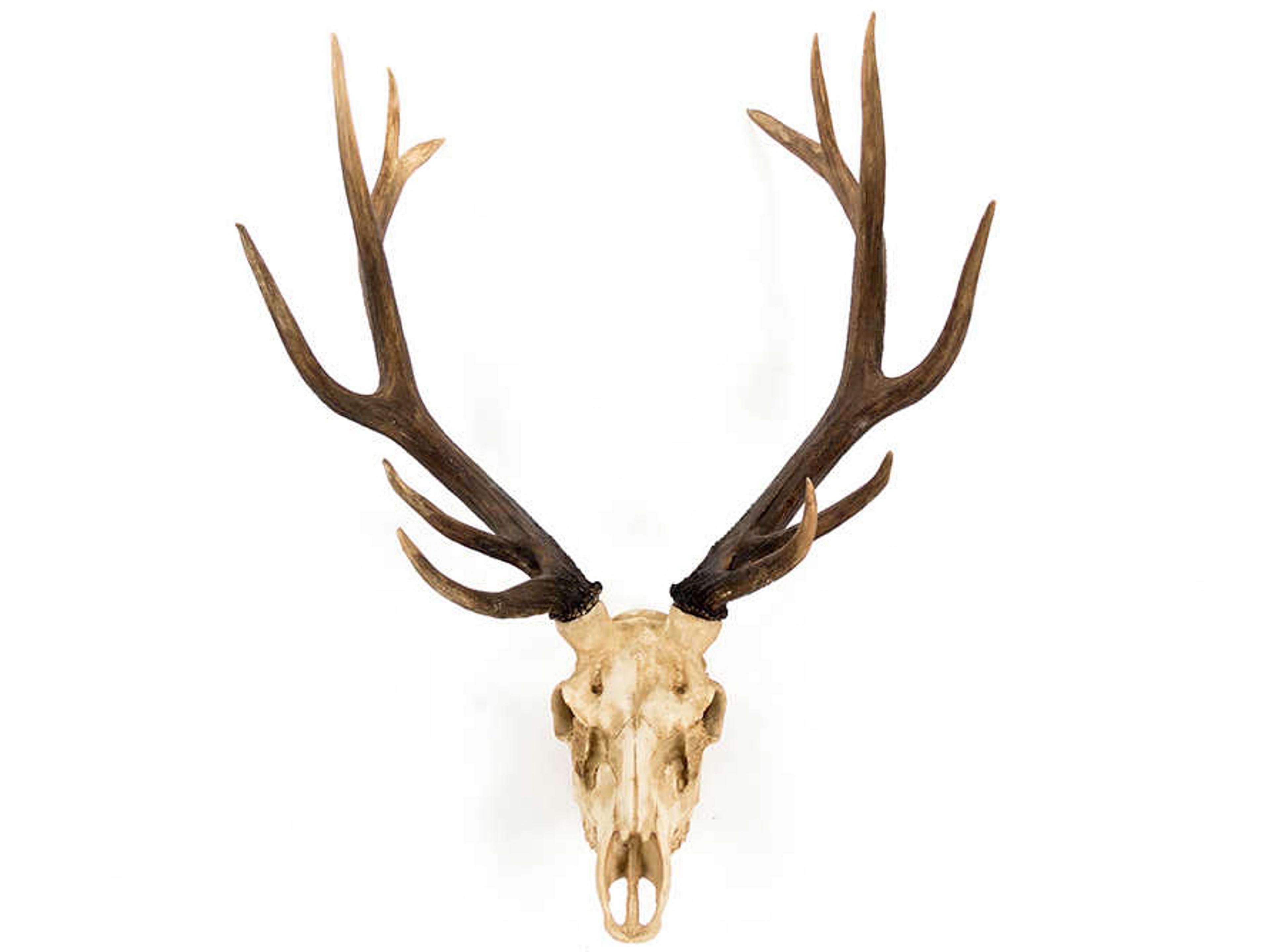 Zentique Off-White / Dark Brown Ombre Deer Skull 3D Wall Art