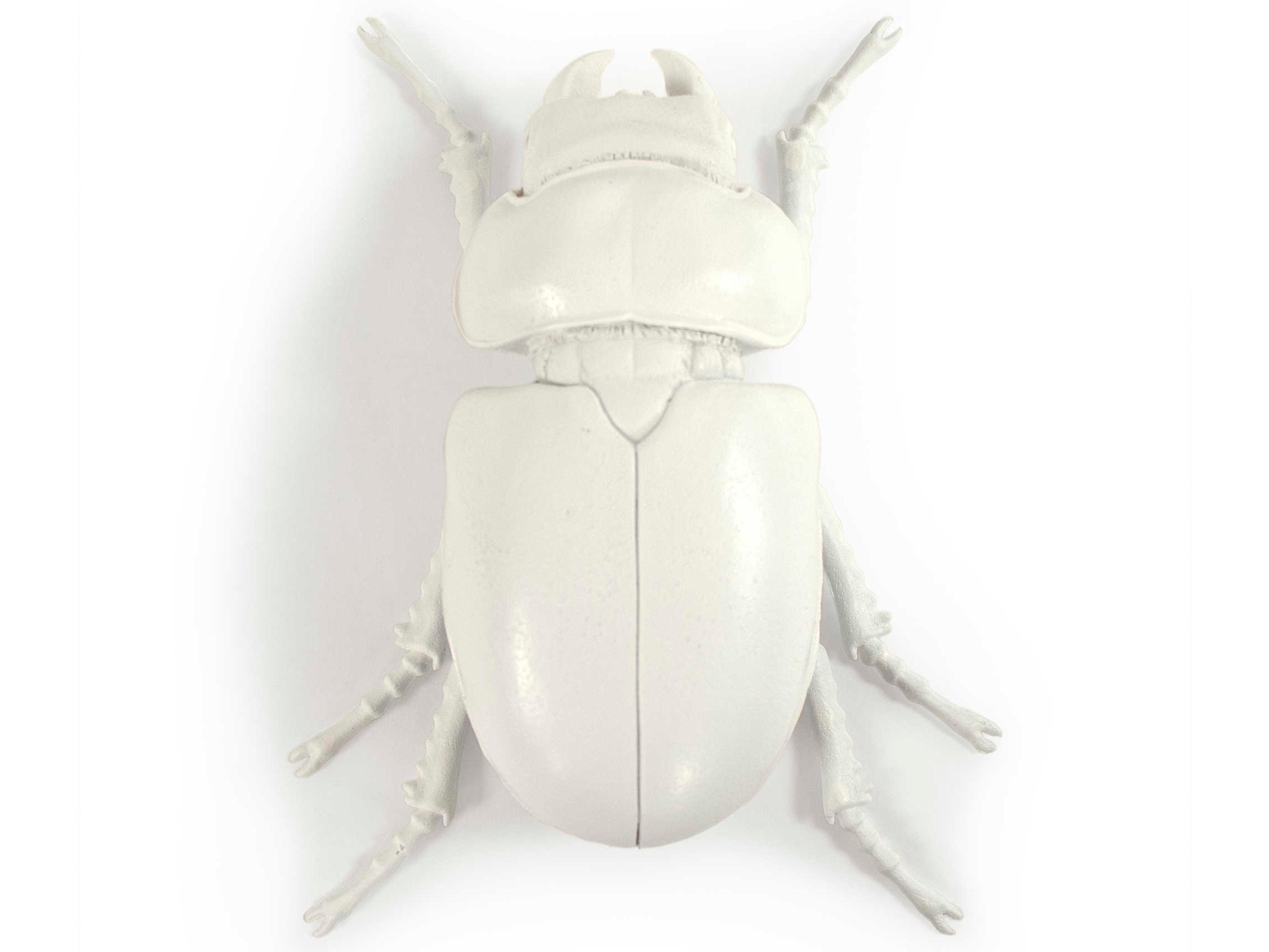 Zentique White Resin Beetle 3D Wall Art