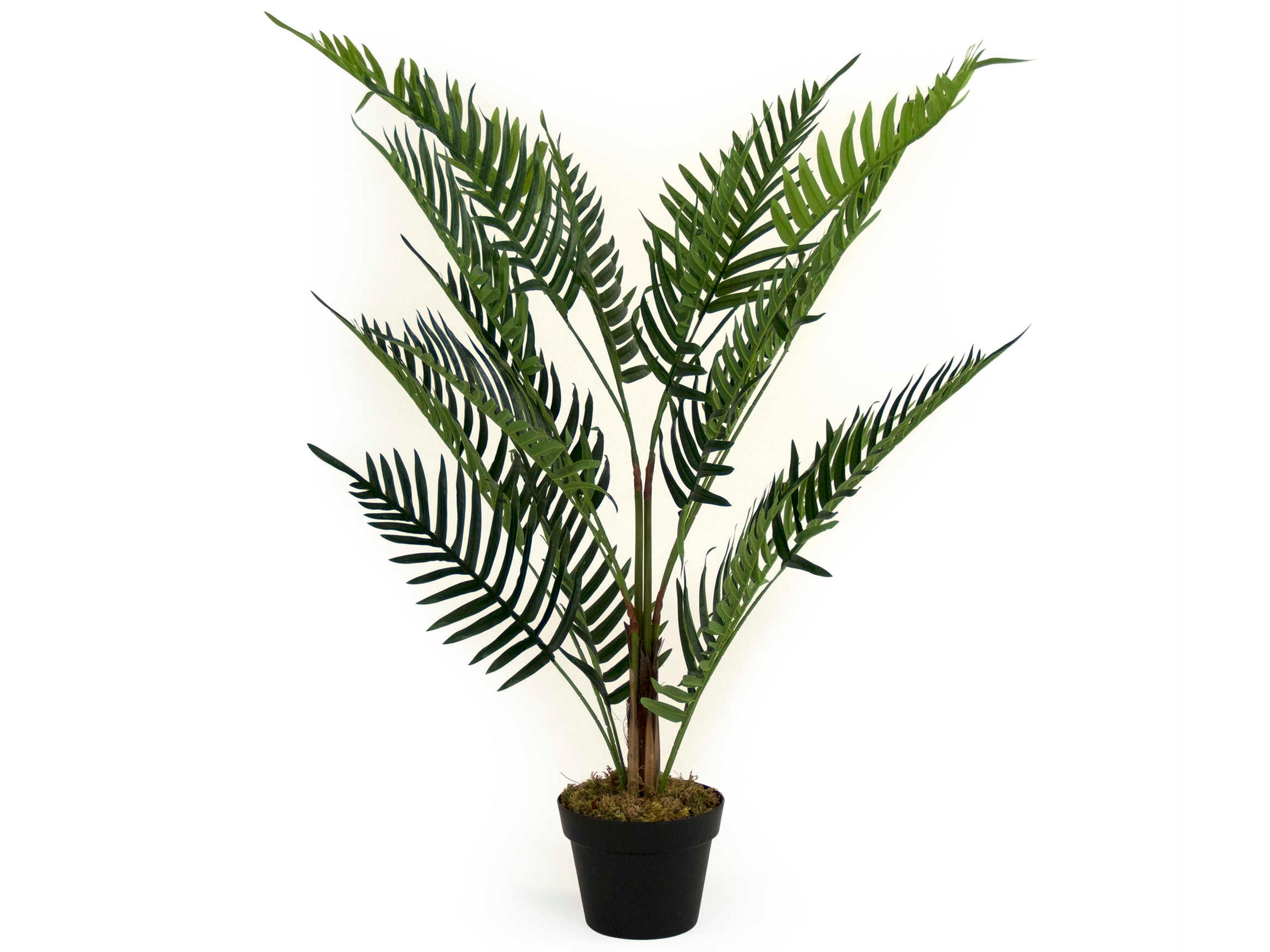 Zentique Green Black Botanical