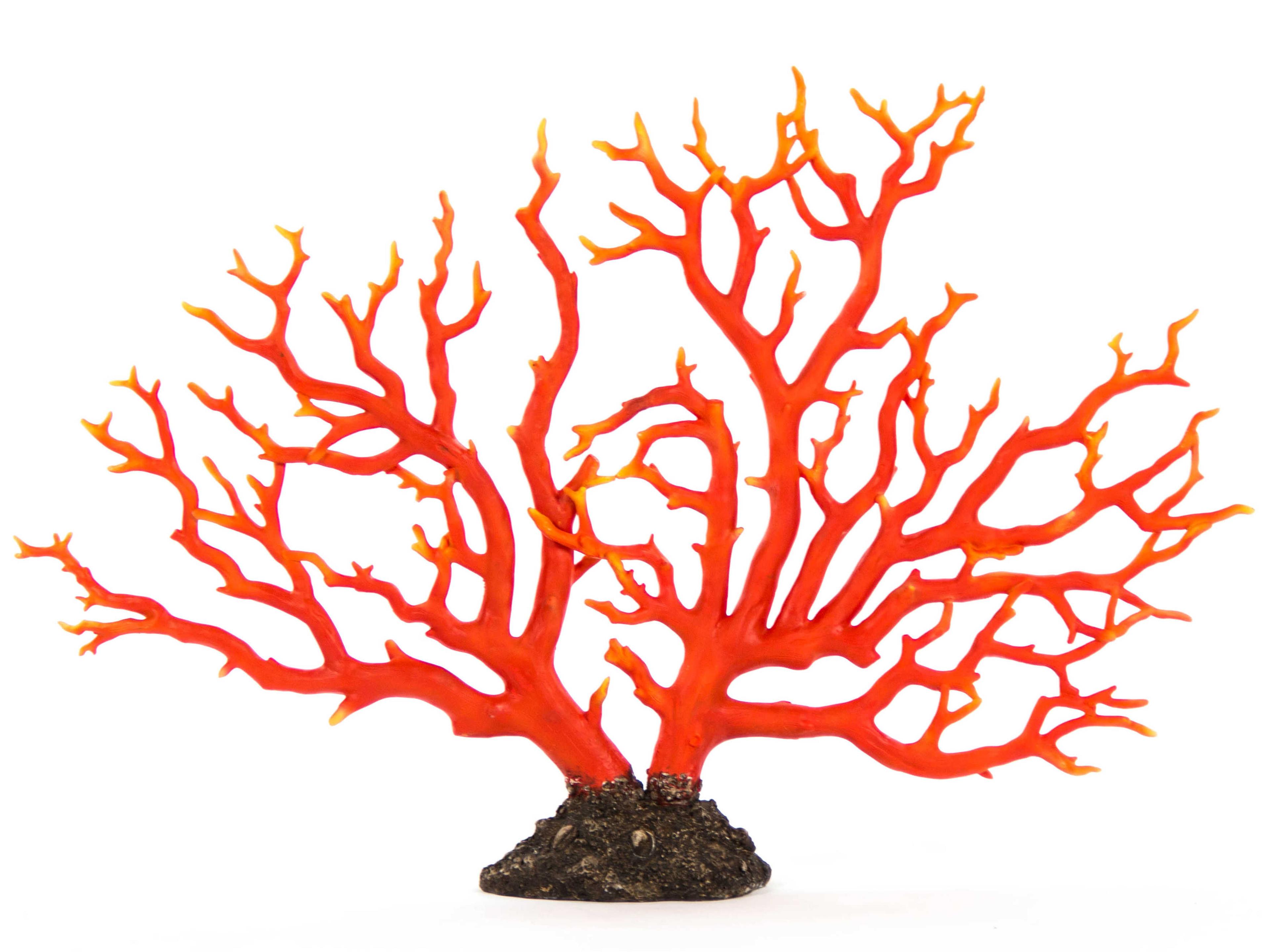 Orange Red / Distressed Brown Coral