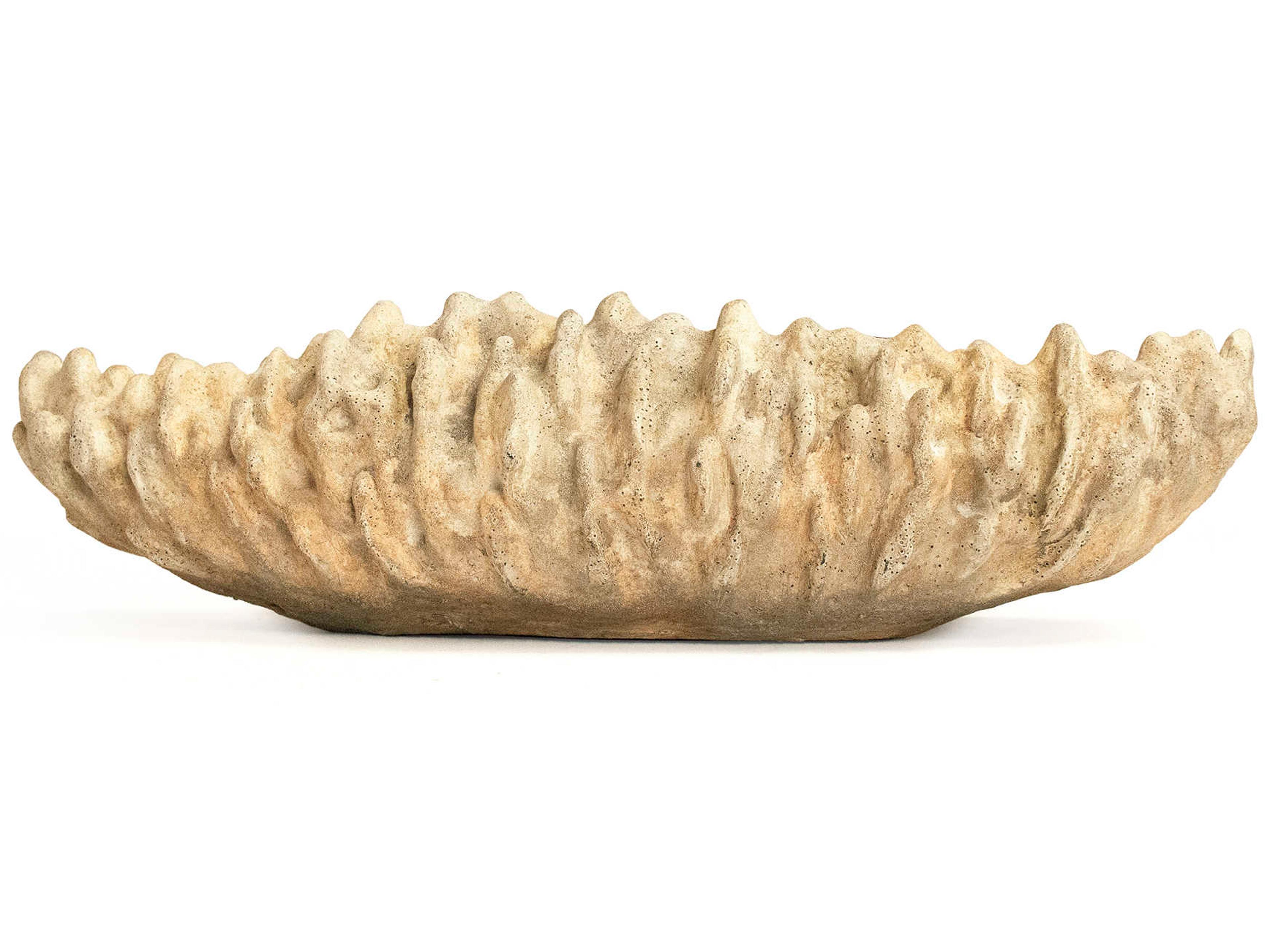 Distressed Beige Coral Shell Decorative Bowl