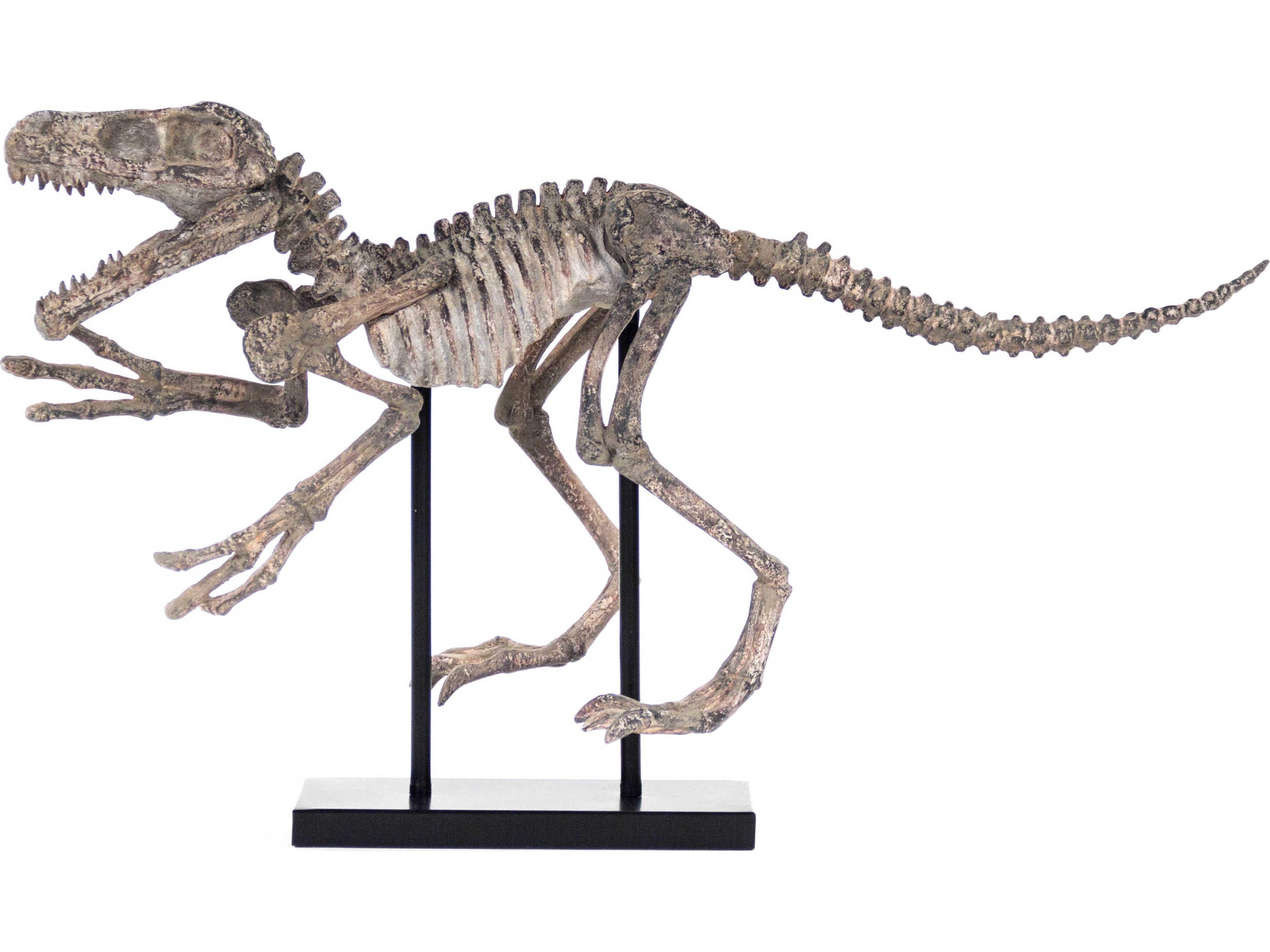 Distressed Brown Grey Velociraptor Skeleton Sculpture