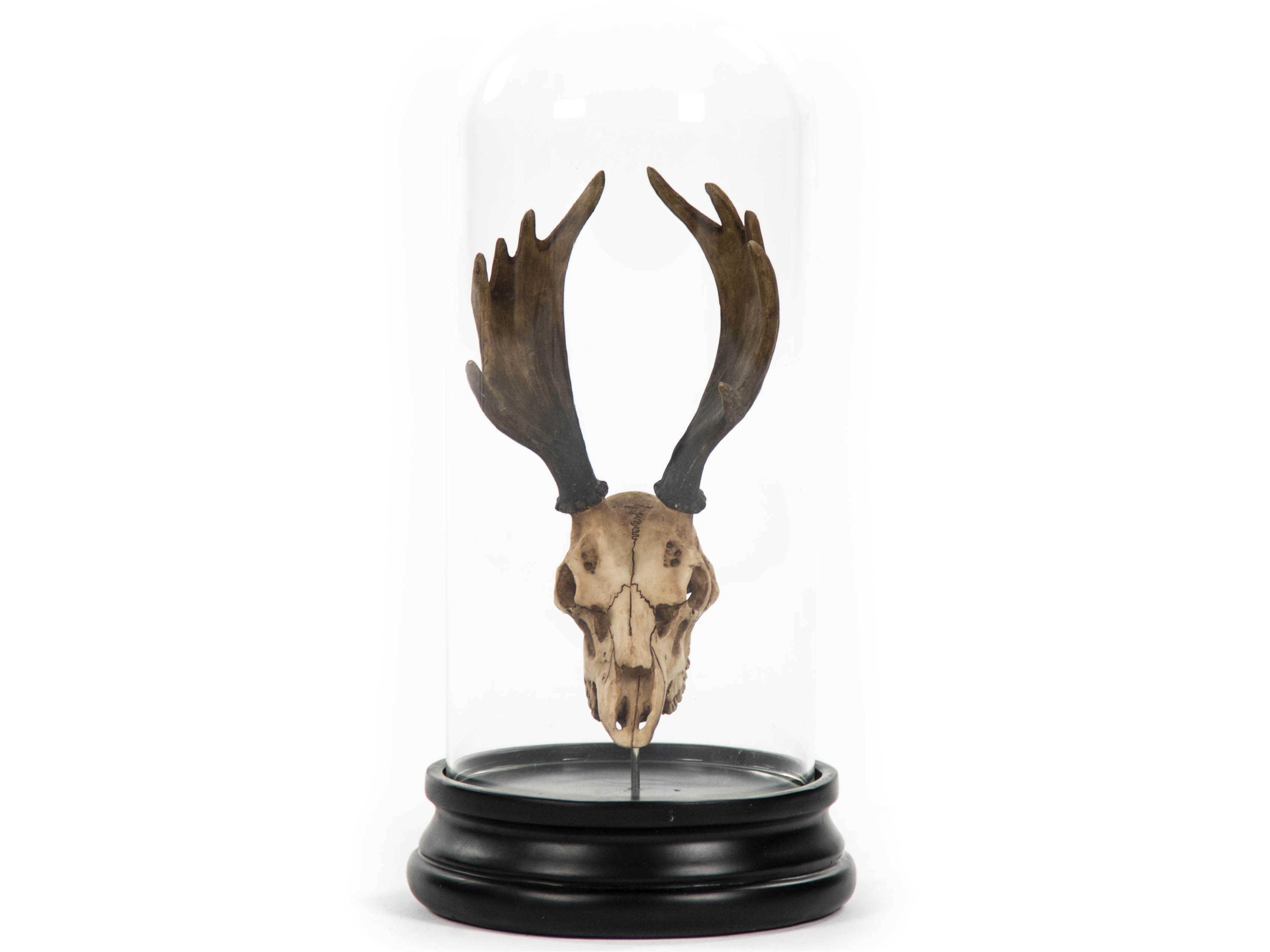 Zentique Distressed Light Brown / Black Moose Skull Sculpture