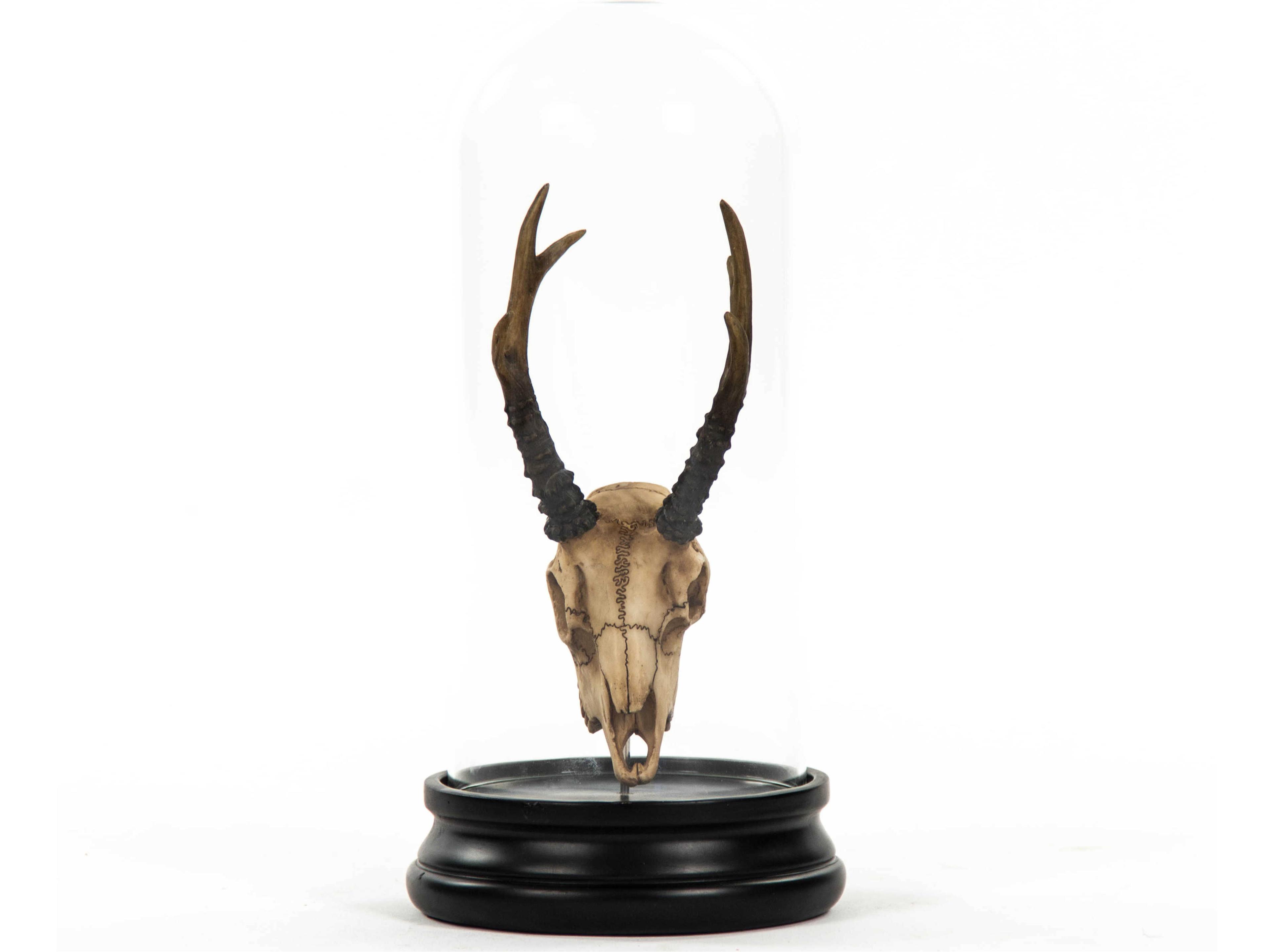 Zentique Antique Off-White / Black Fawn Skull Sculpture