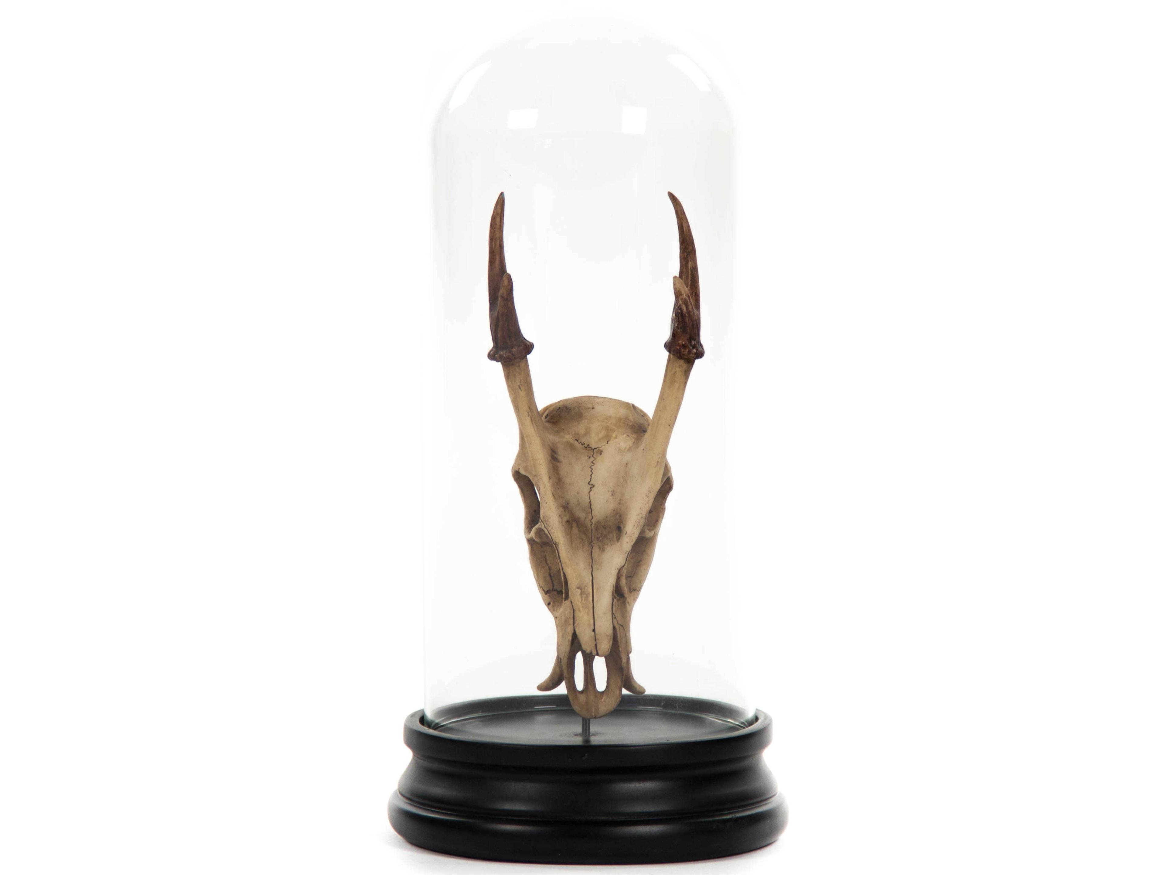 Zentique Antique Off-White / Black Fawn Skull Sculpture