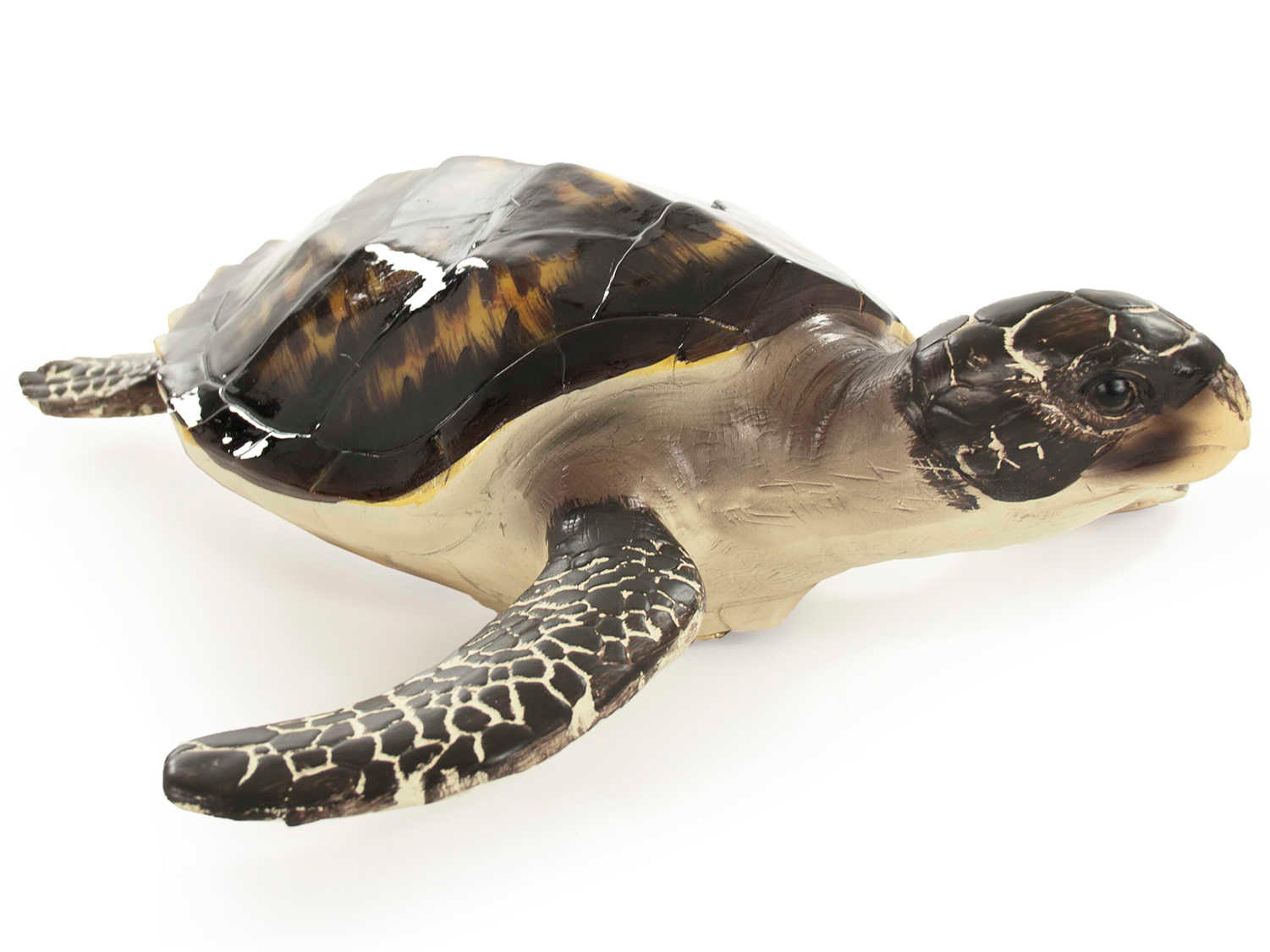 Black / Cream Sea 10" Turtle Sculpture
