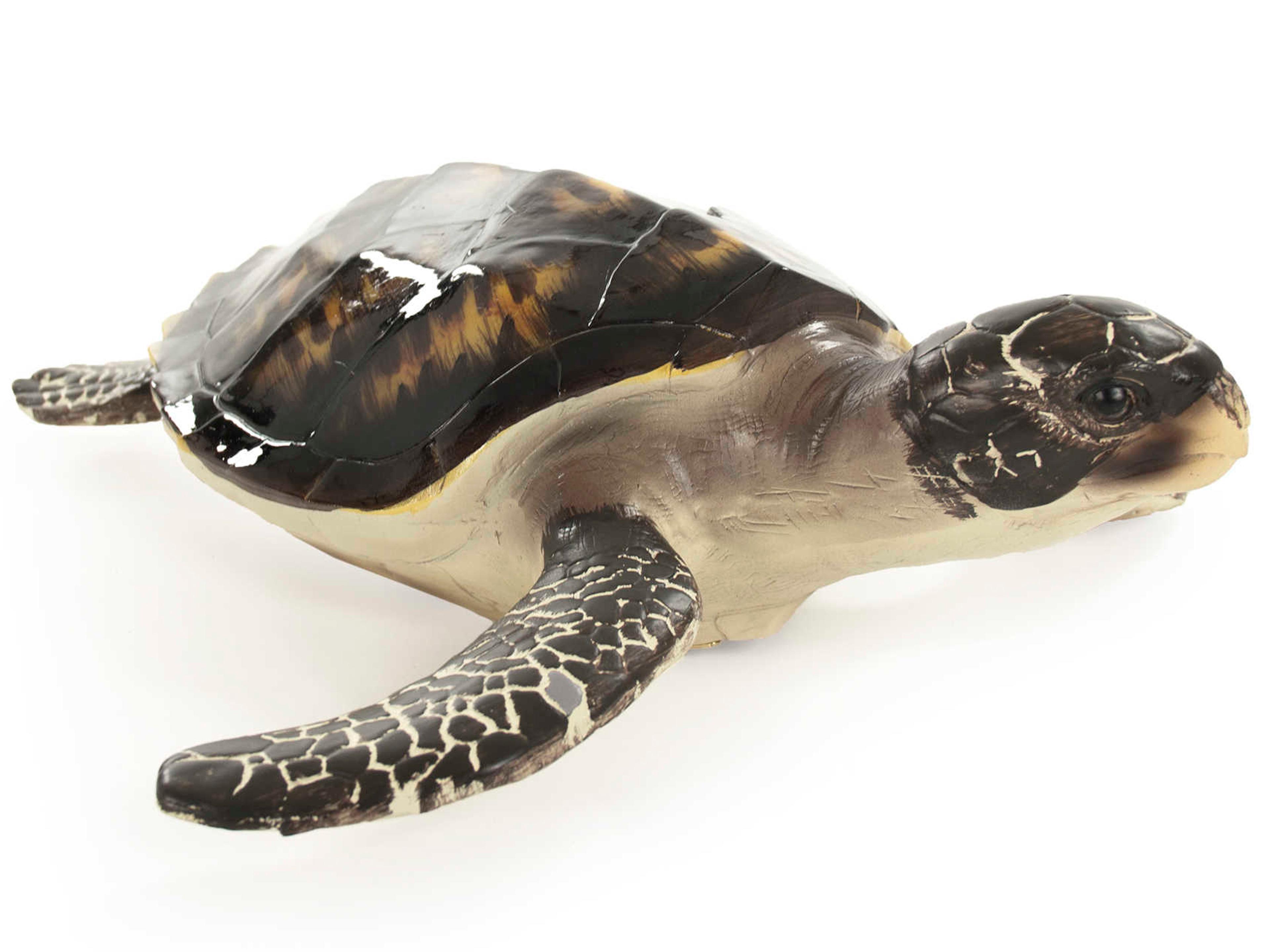 Black / Cream Sea 15" Turtle Sculpture