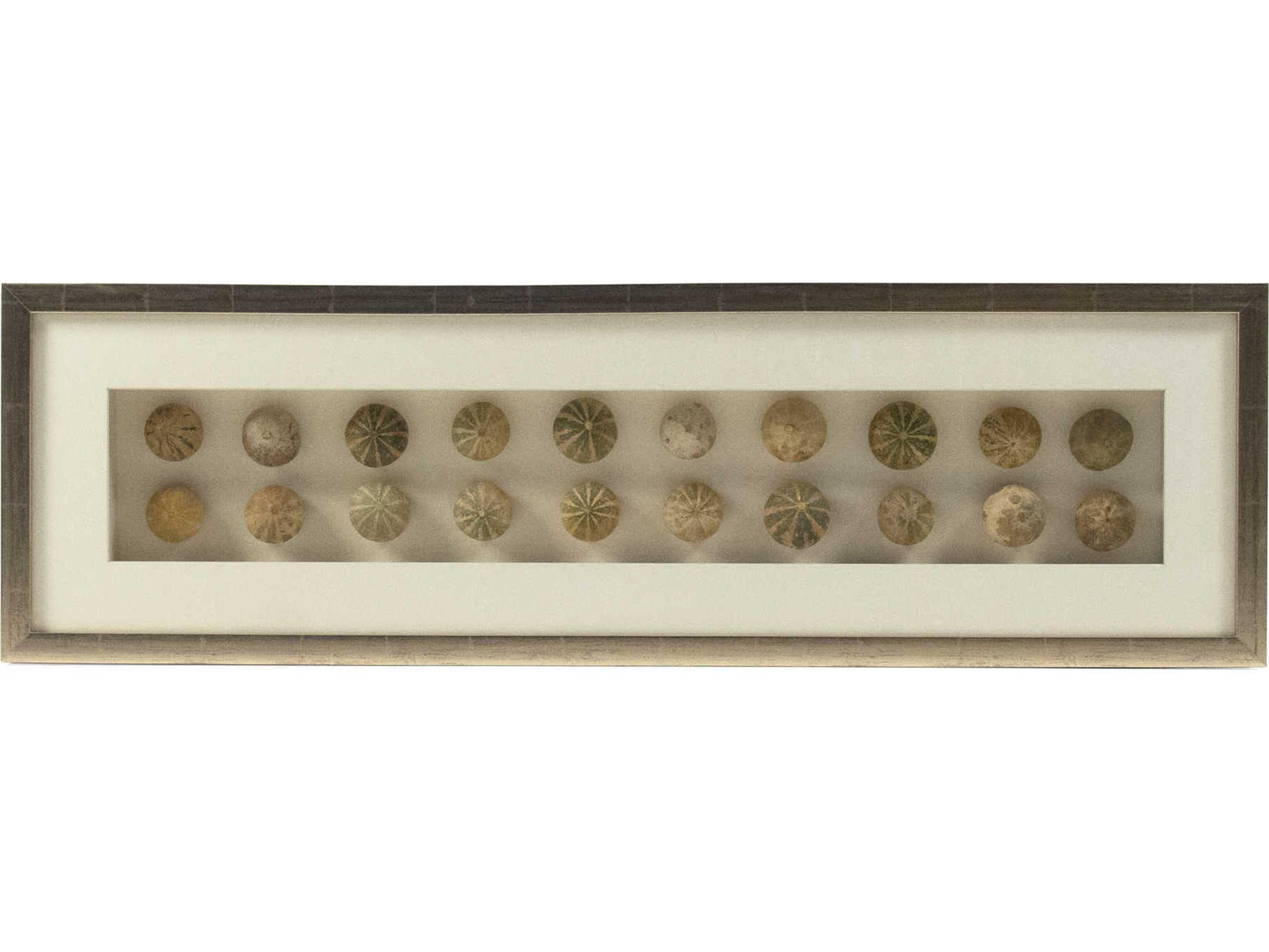 Zentique Abstract Shell Shadow Box