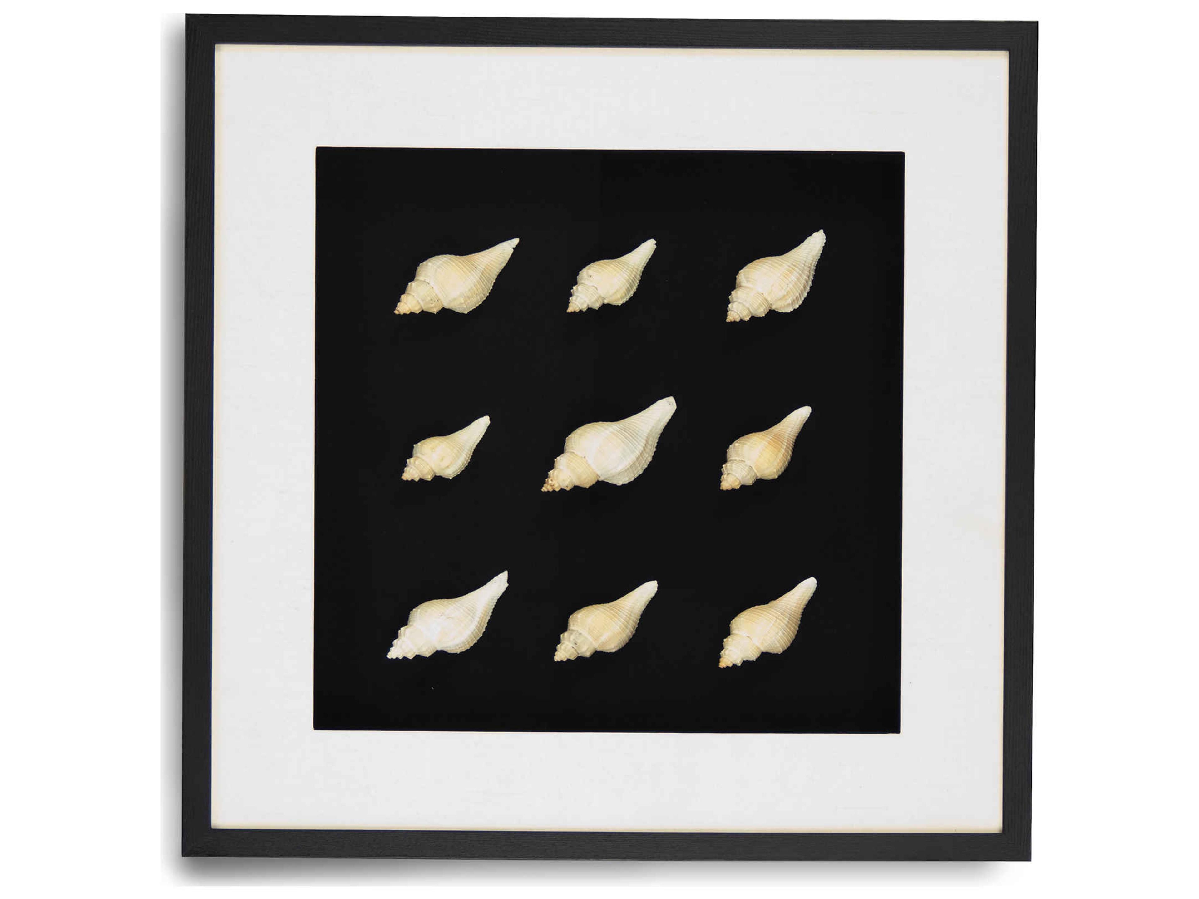 Zentique Shadow boxes