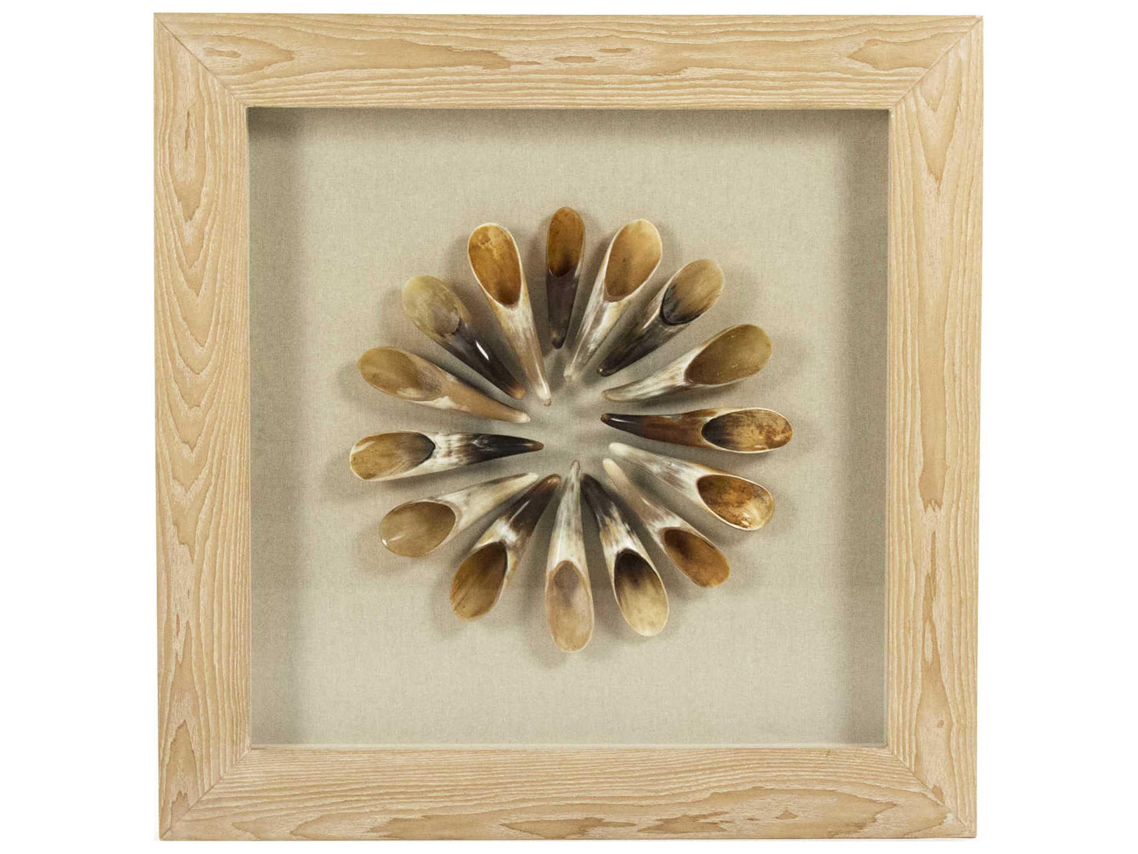 Zentique Ox Horn Shadow Box