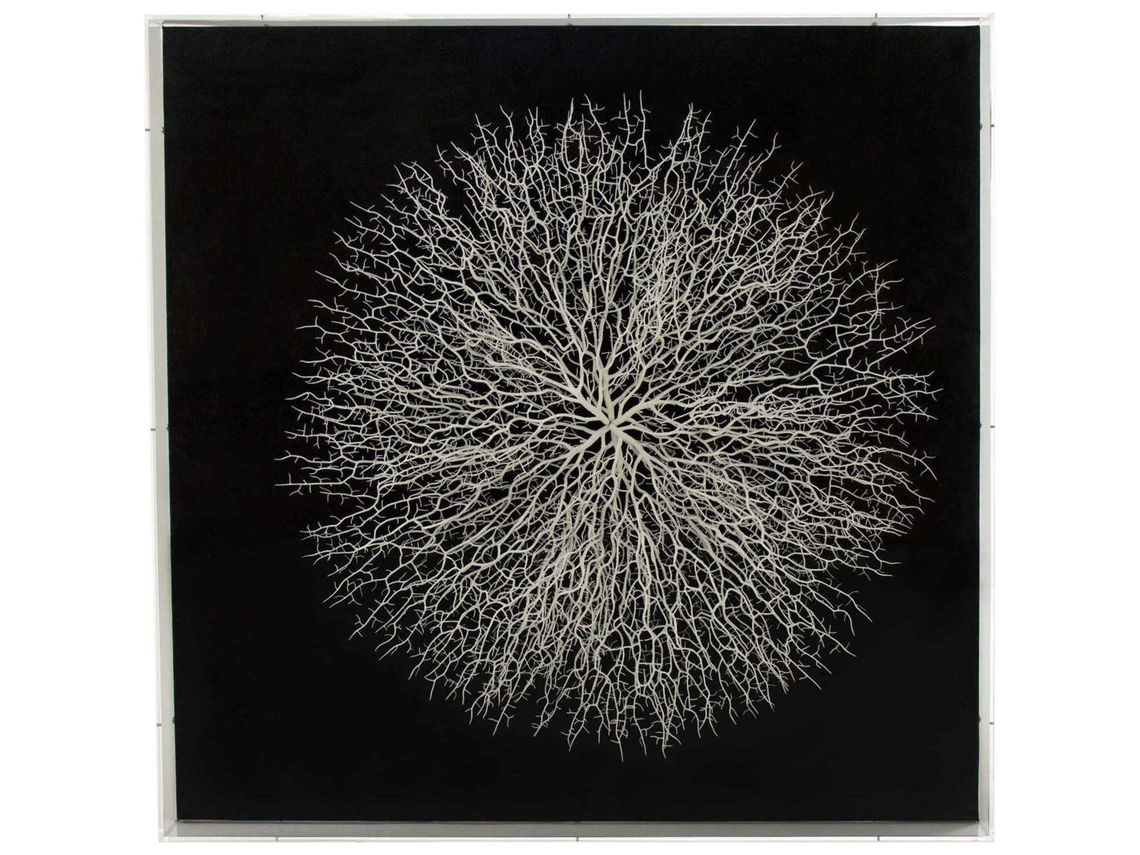 Abstract White Branches Shadow Box