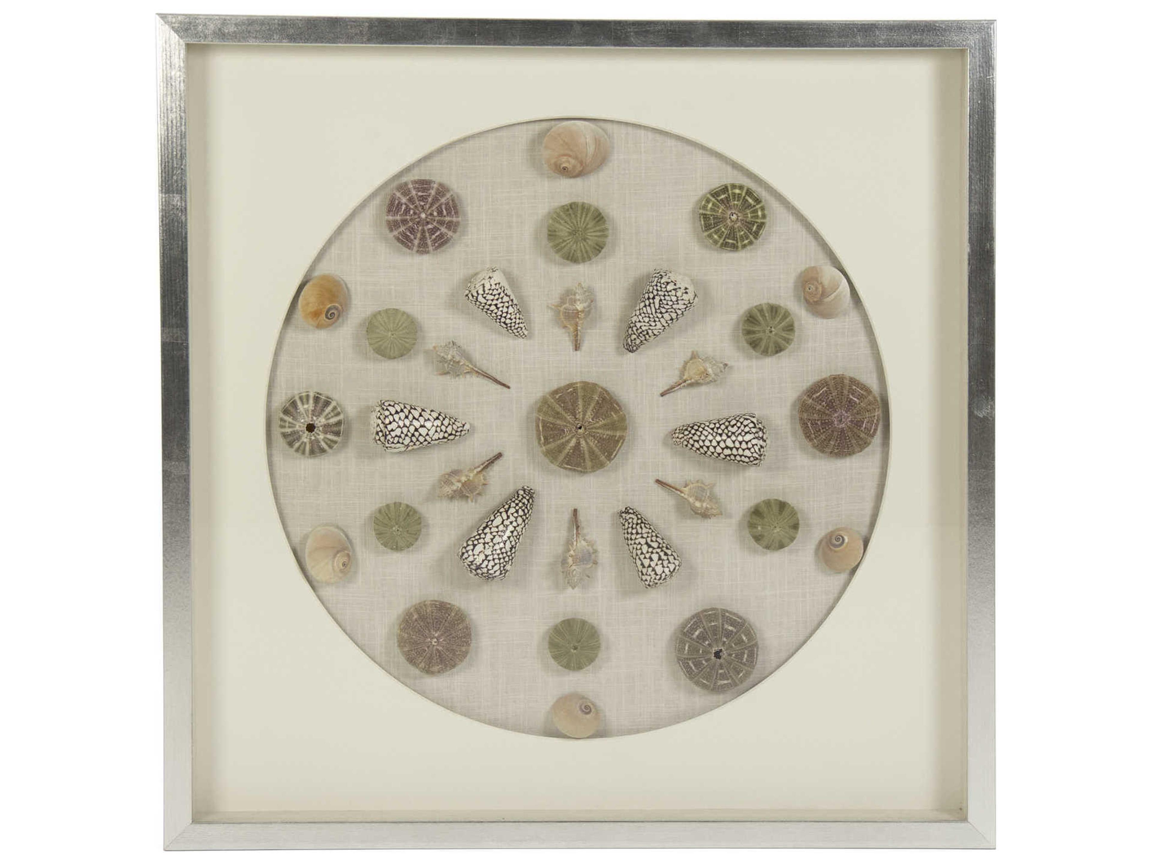 Zentique Assorted Shells Shadow Box