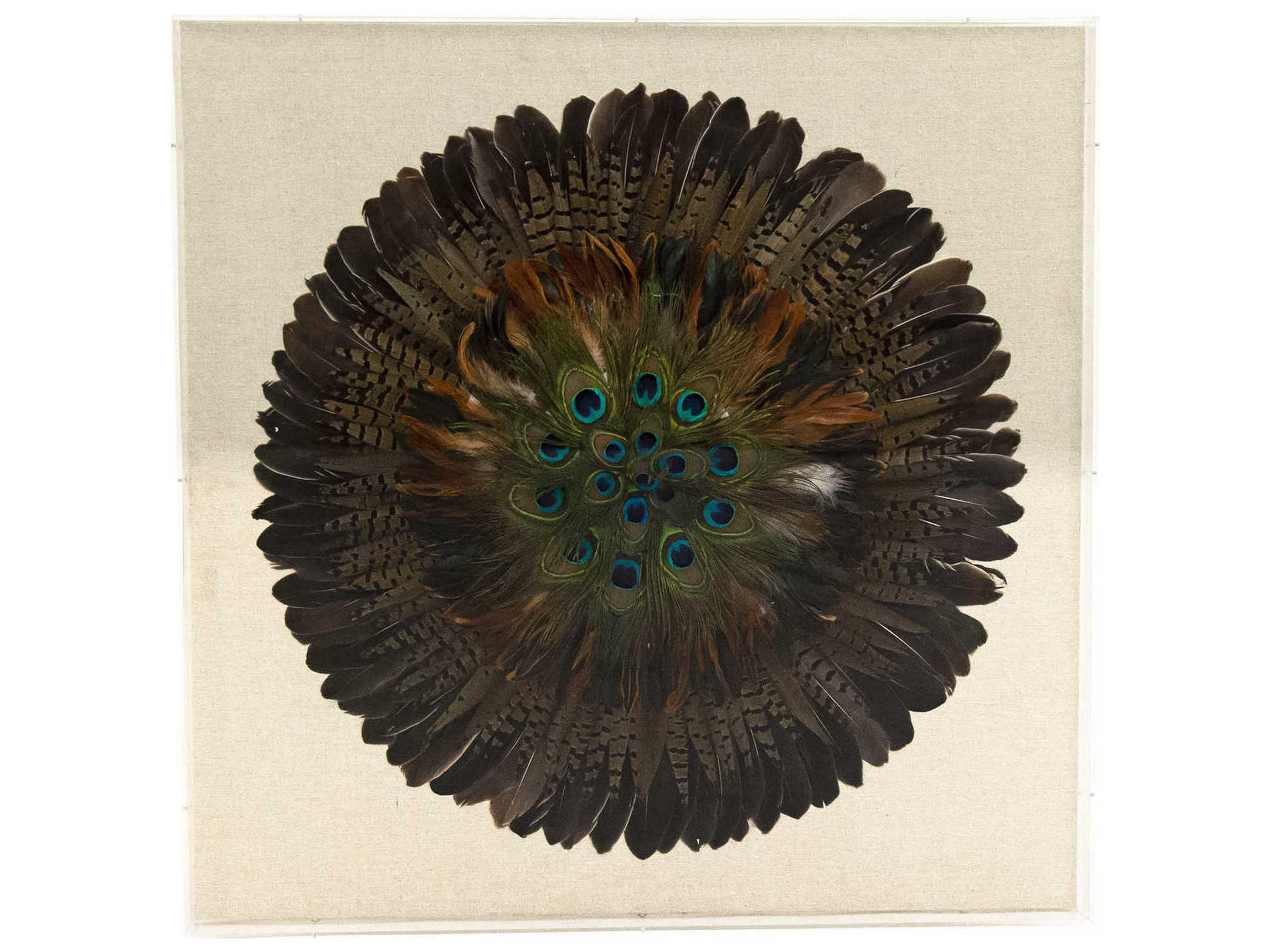 Abstract Feather Shadow Box