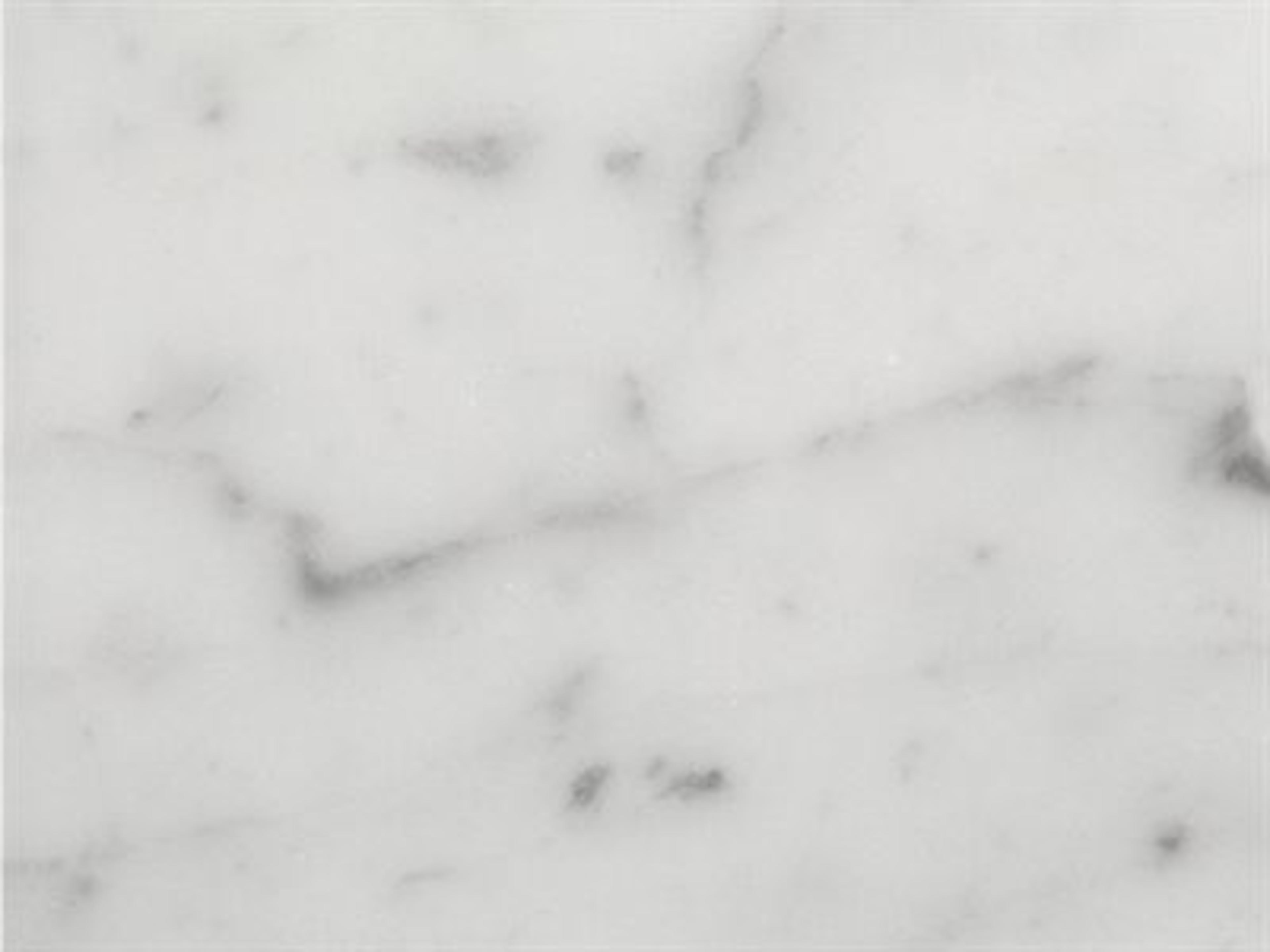 Table Top: Carrara Marble