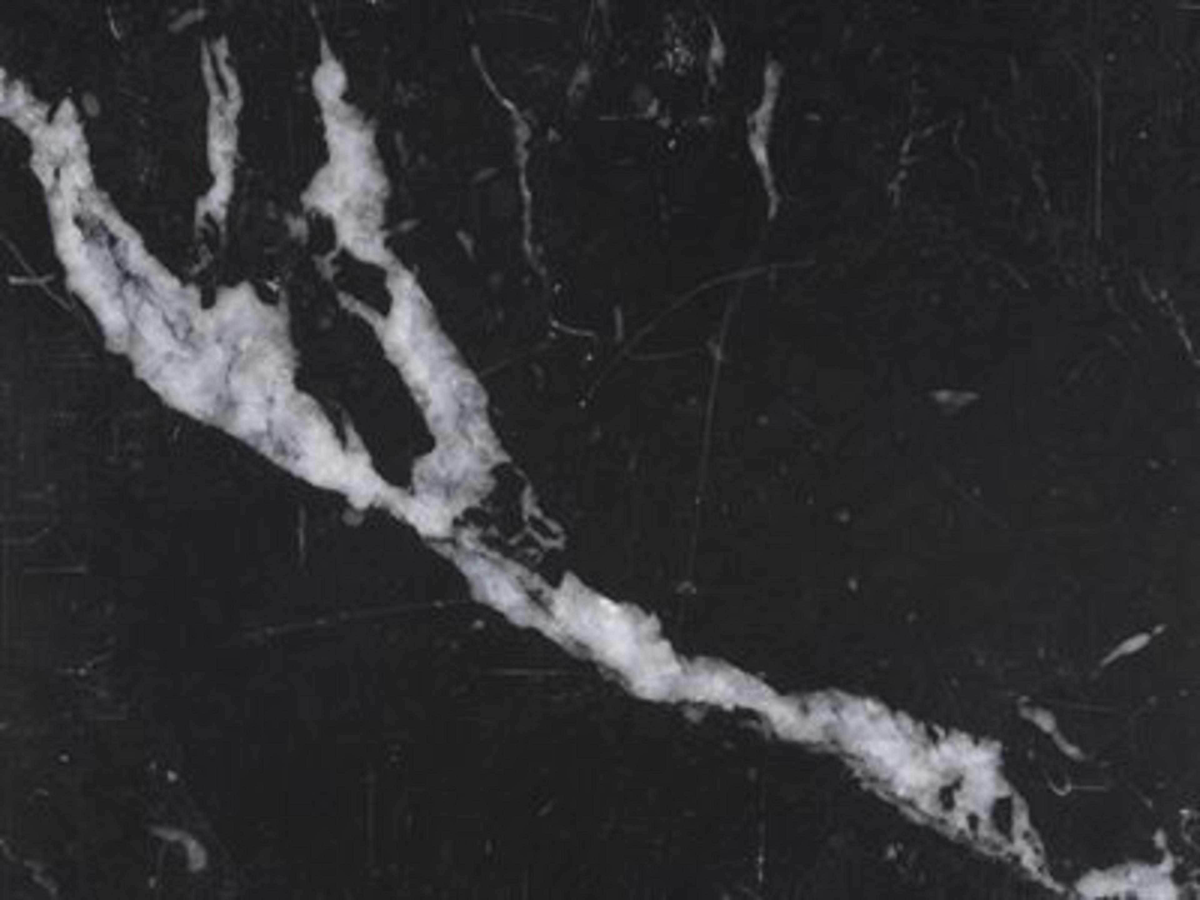 Table Top: Marquinia Marble