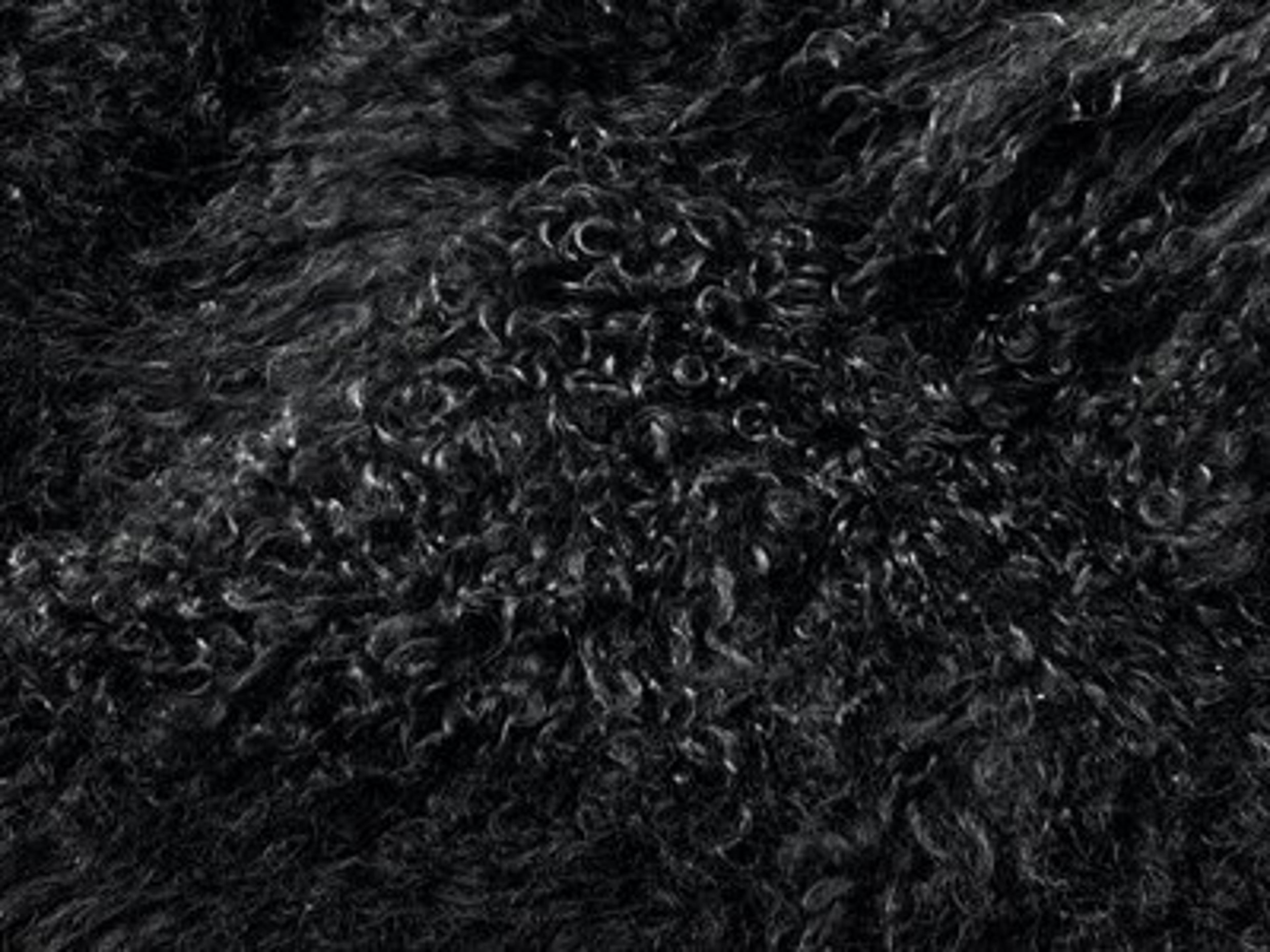 Upholstery: Black Fur