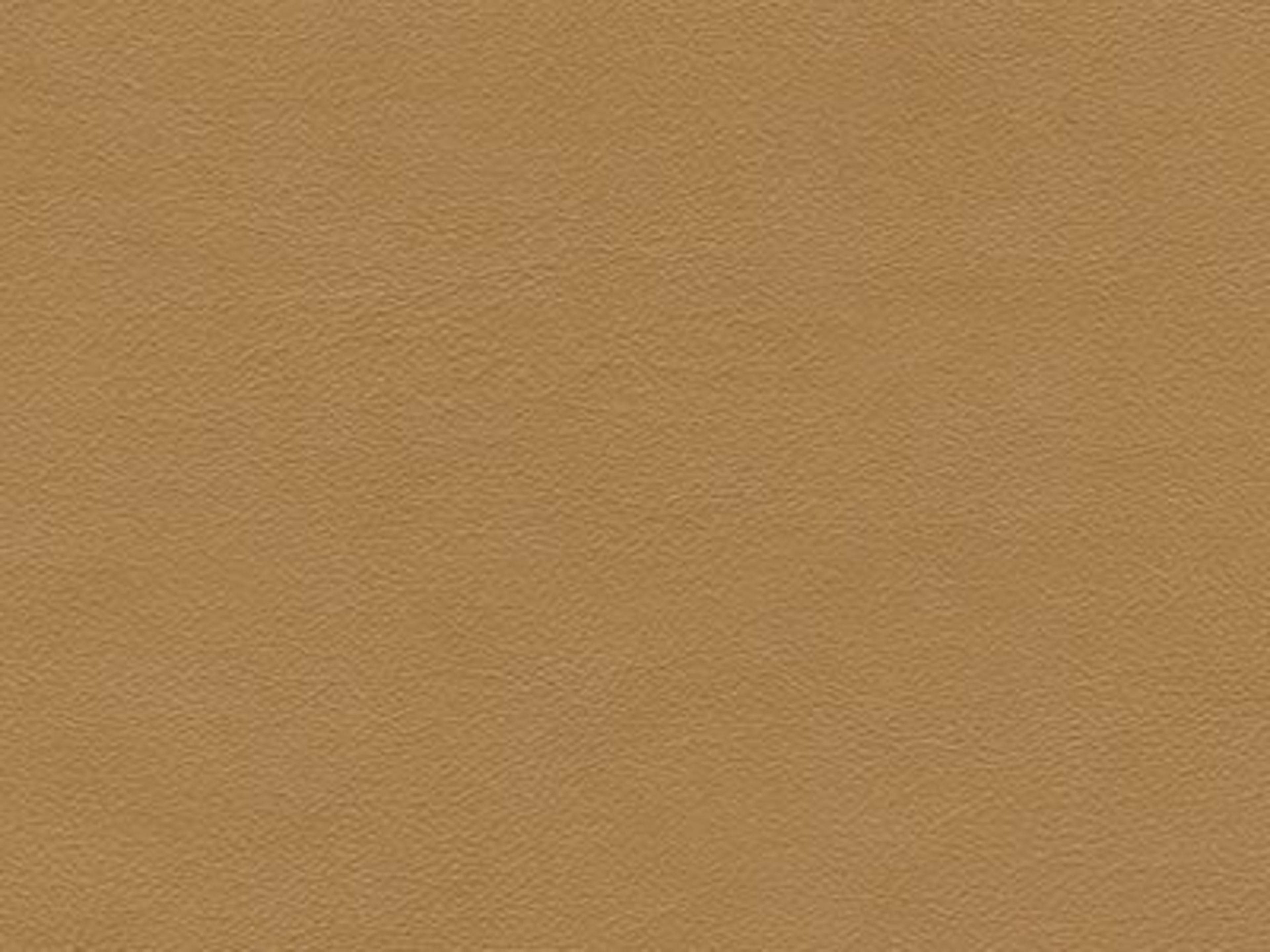 Chair Leather: Leather 9251-41 - Protected