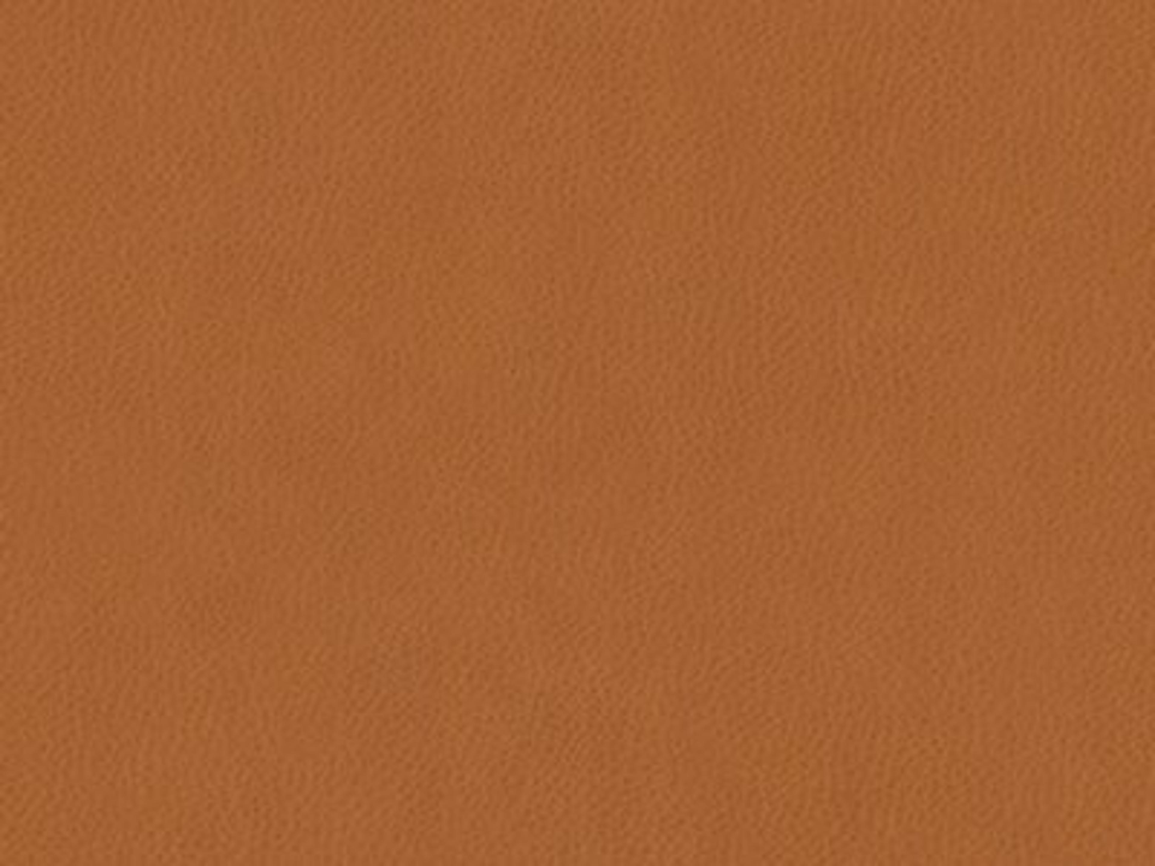 Chair Leather: Leather 9629-41 - Protected