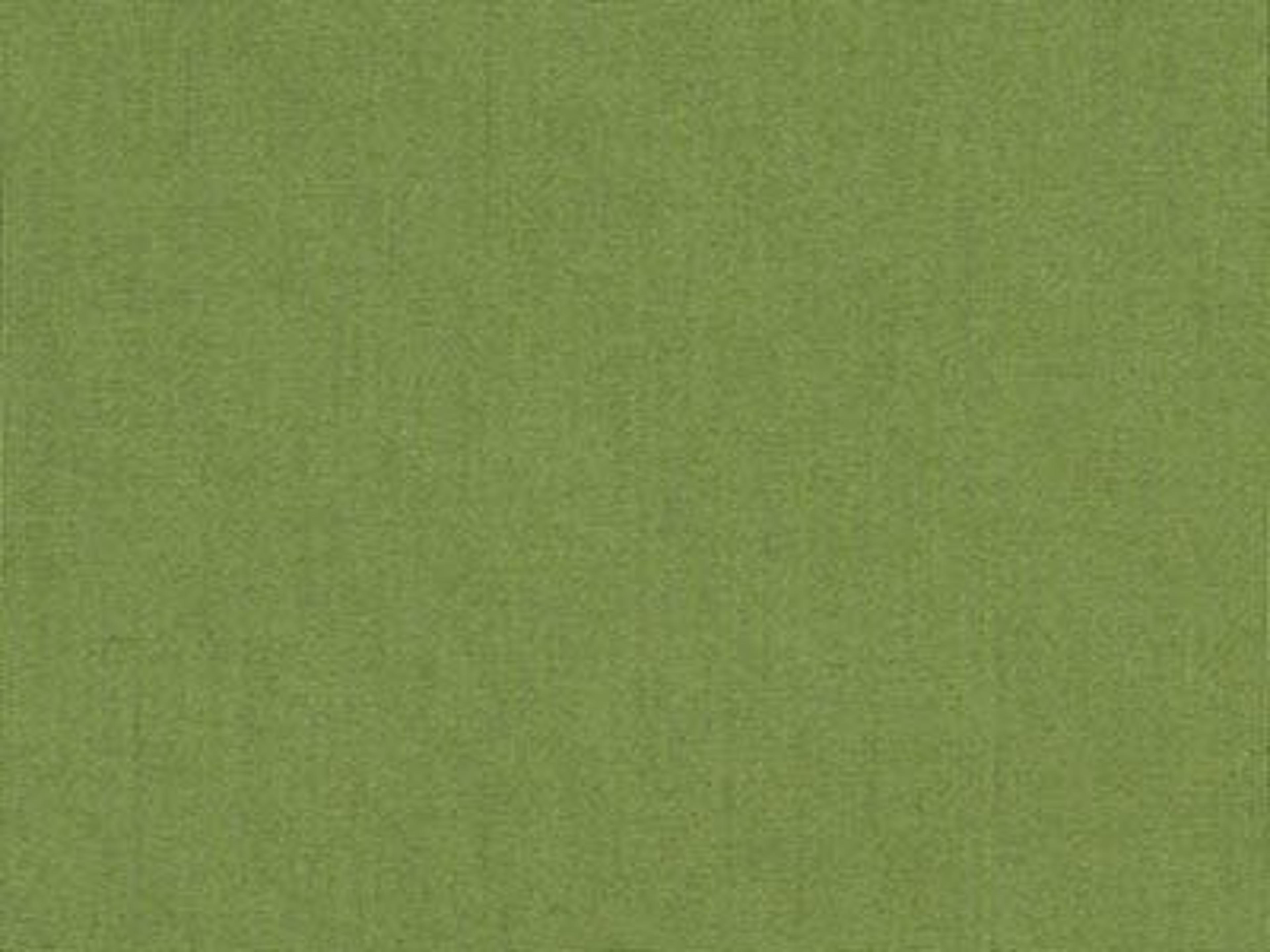 Fabric: Sunbrella Spectrum Cilantro