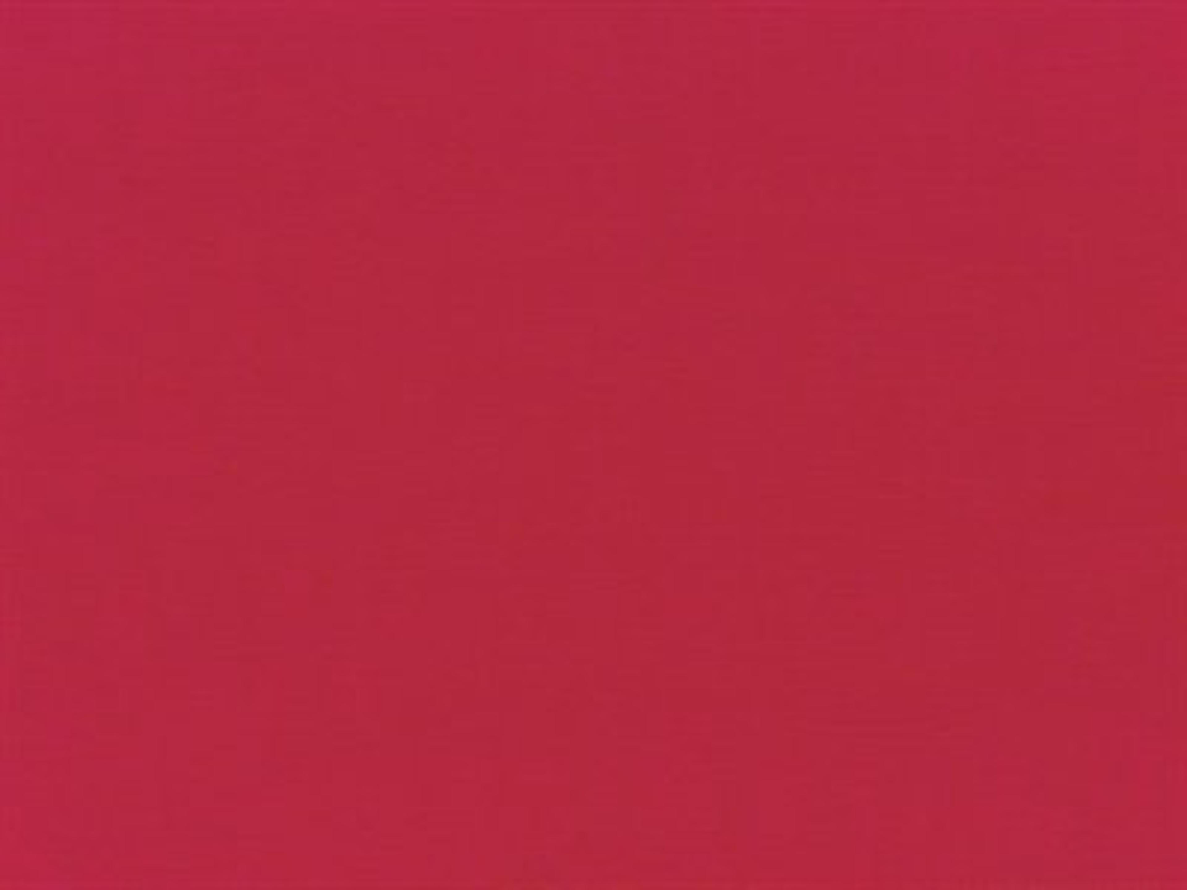 Fabric: Pacifica Red