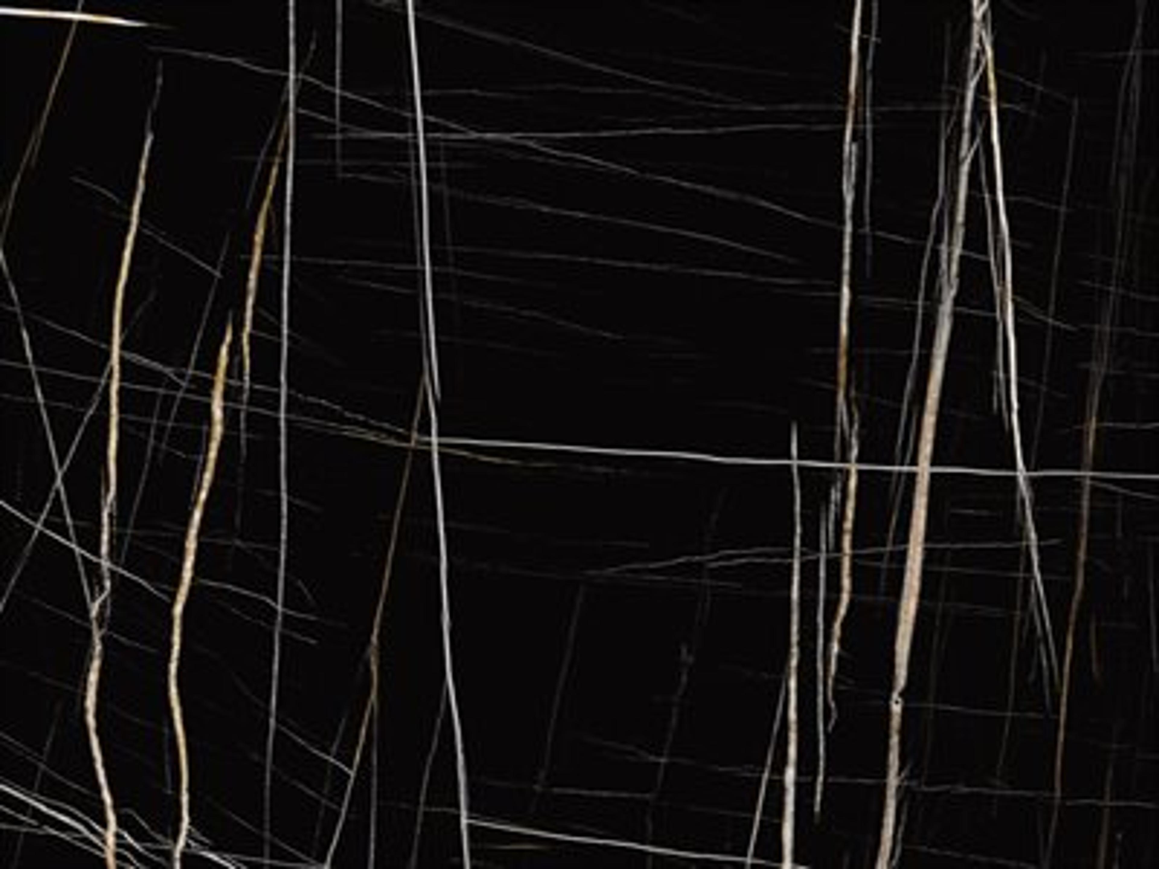 Table Top: Boat Shaped Sahara Noir Stone