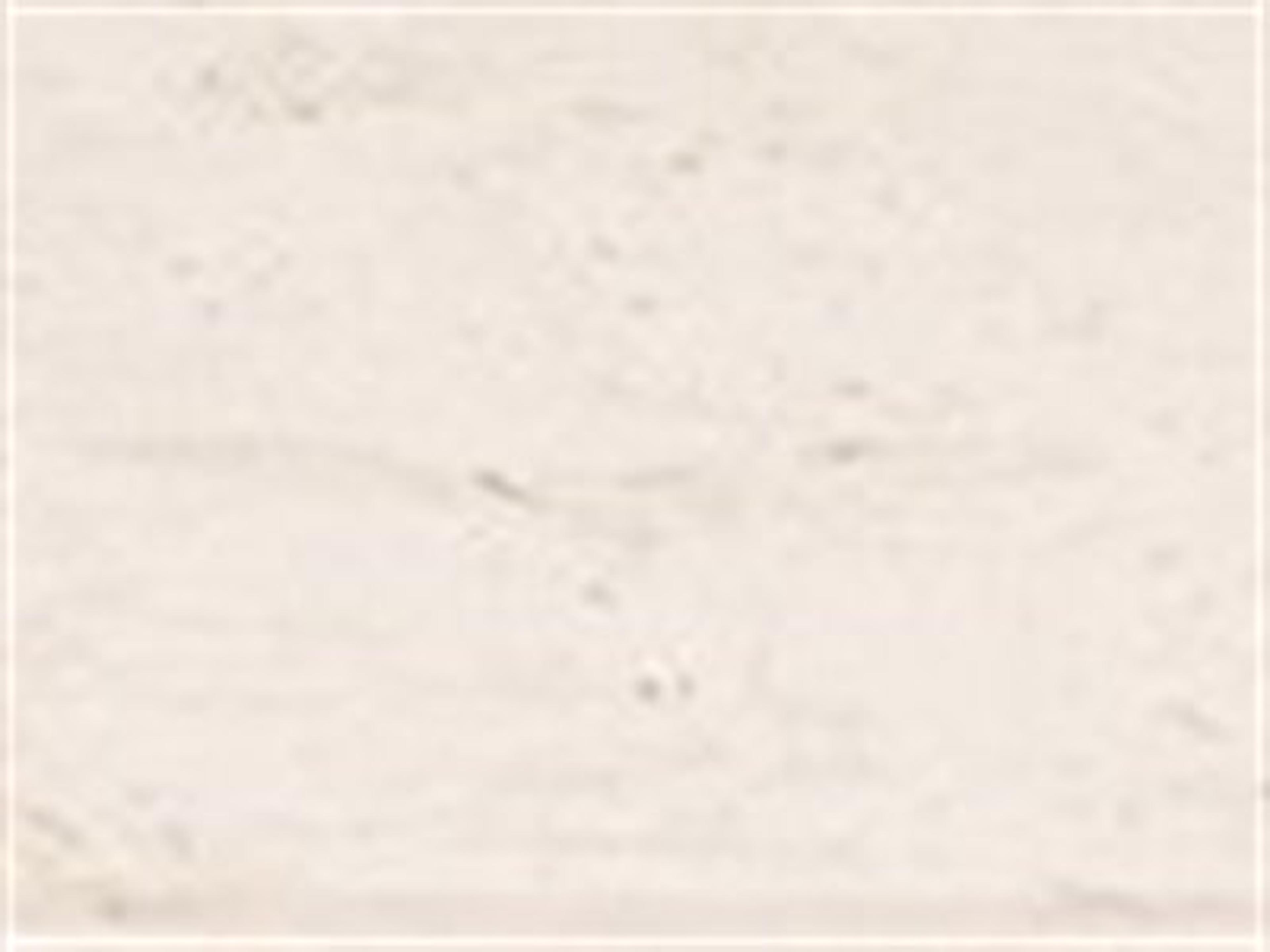 Top Finish: Ceramic Travertine Look