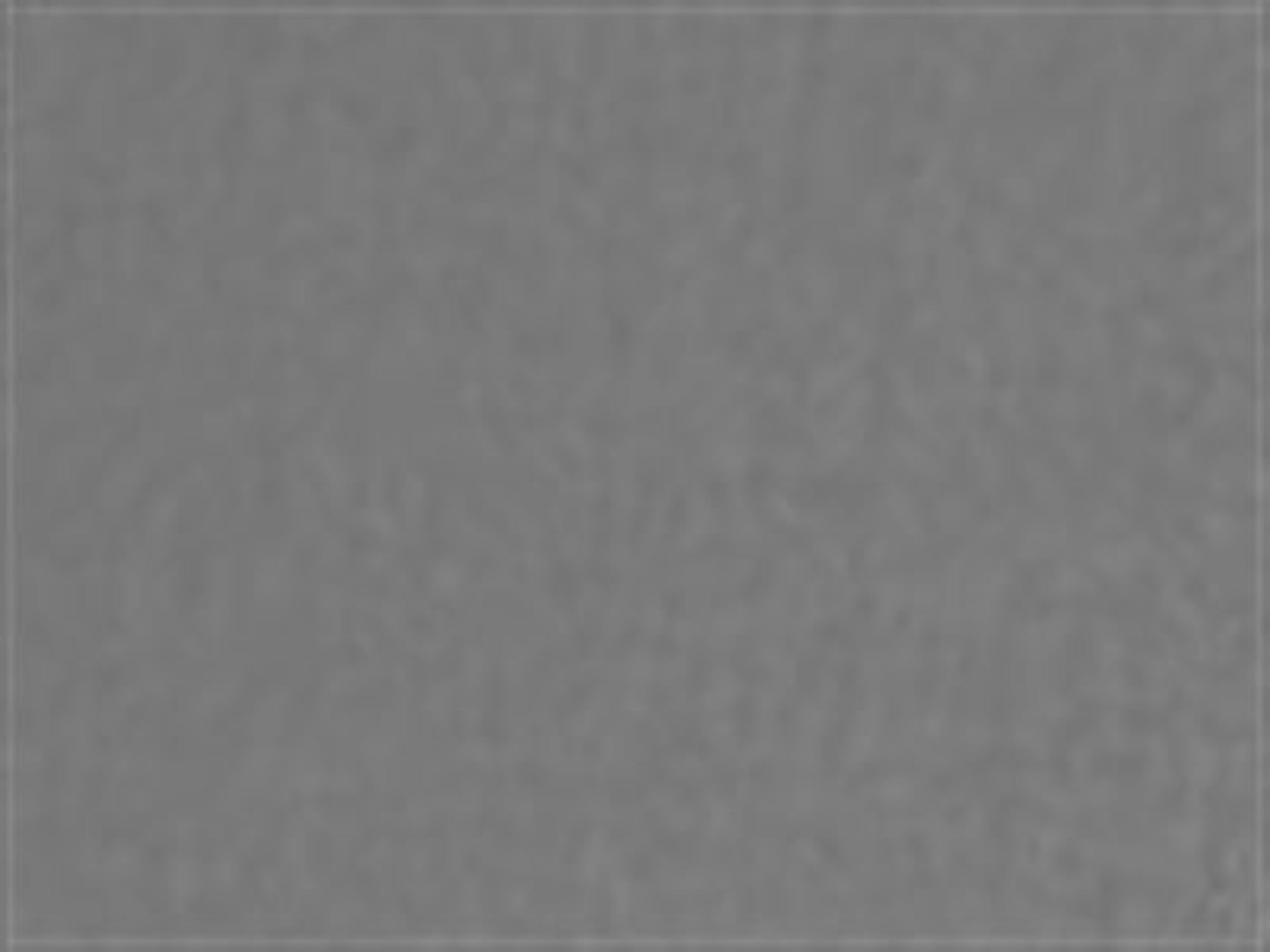 Fabric: Light Grey Frame w/ Anthracite fabric