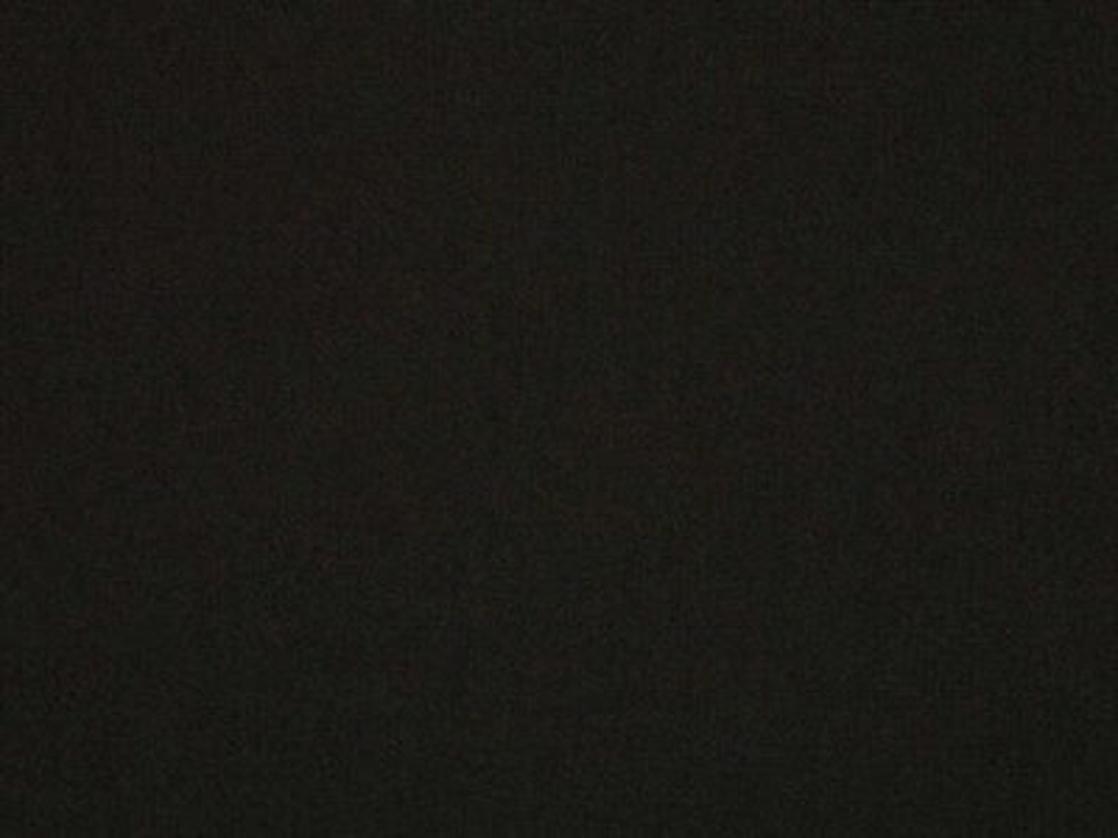 Cushion Color: Sunbrella Canvas Black