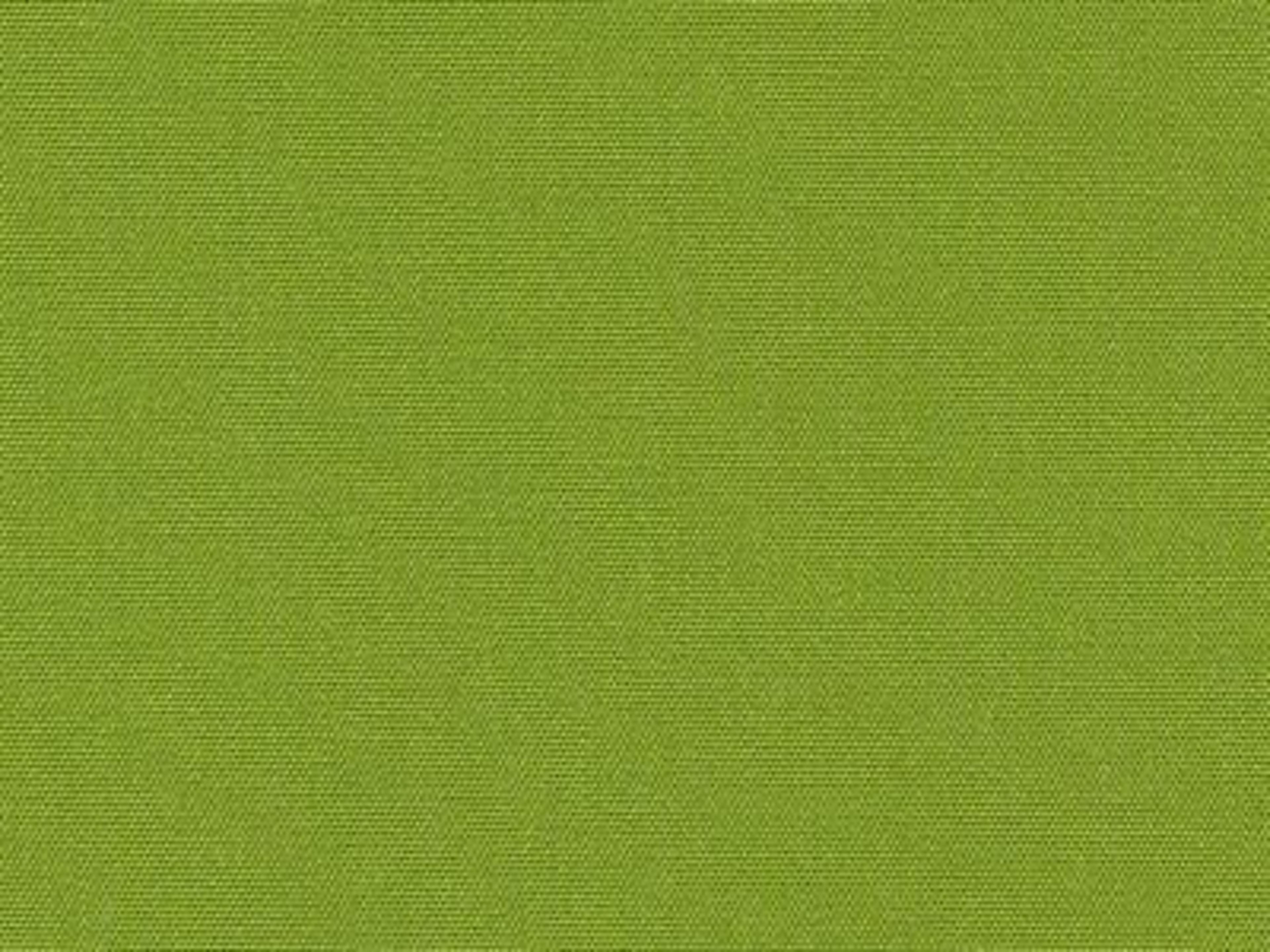 Fabric: Canvas Ginkgo