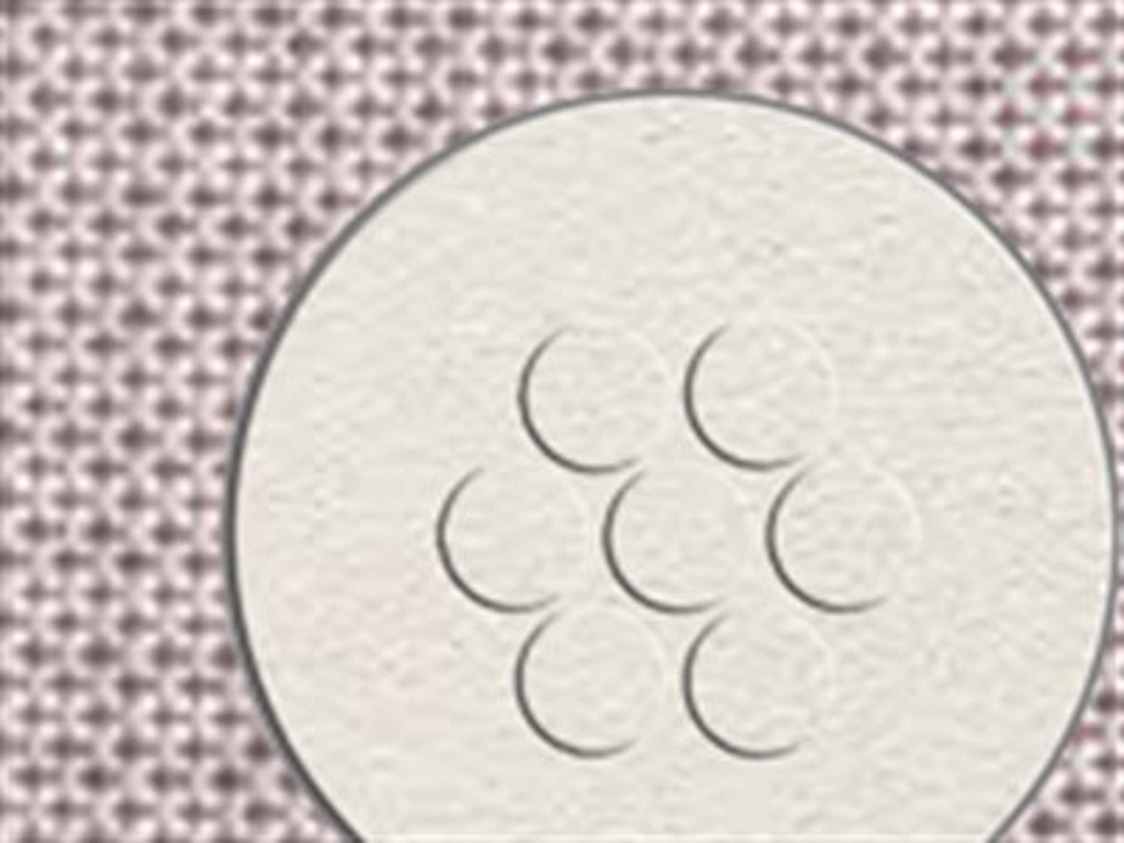 Seating Frame Finish: White / Ice