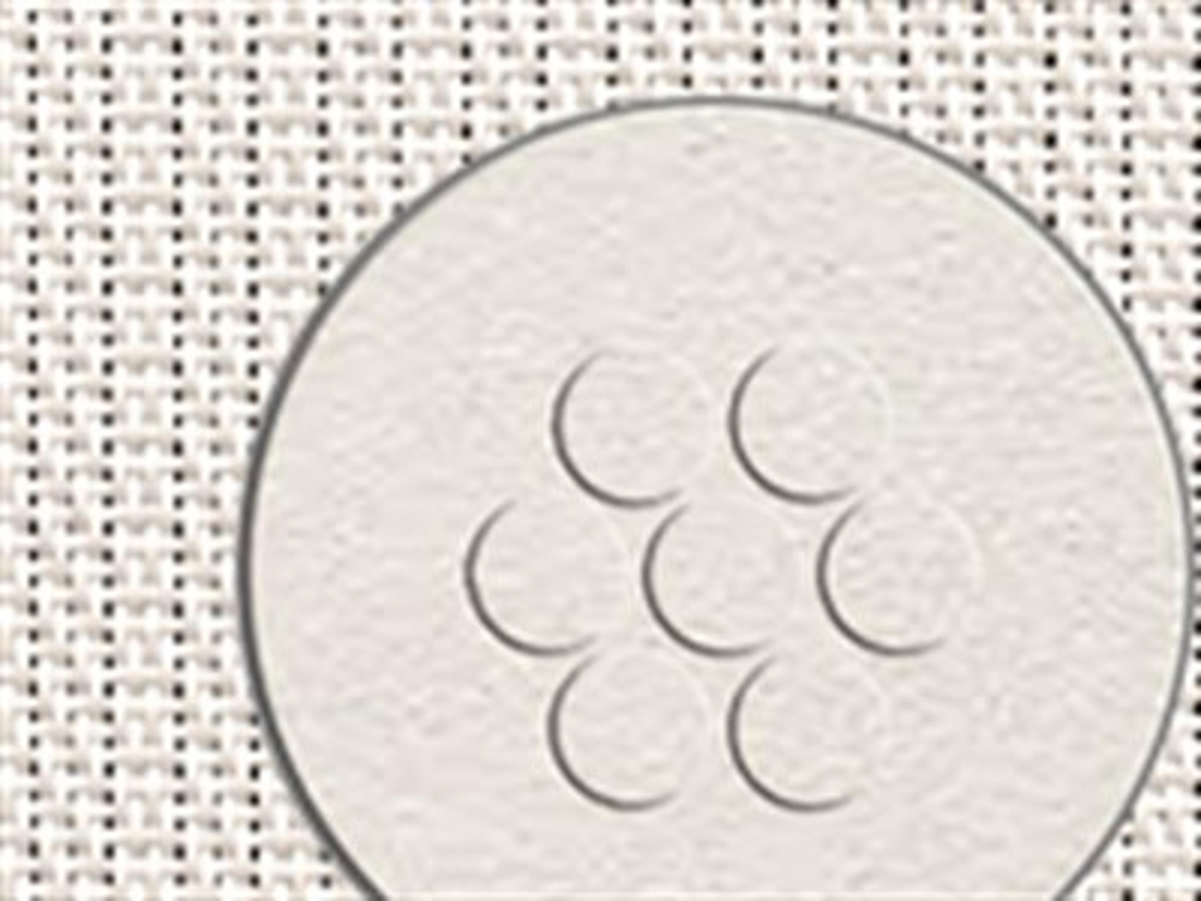 Seating Frame Finish: White / White