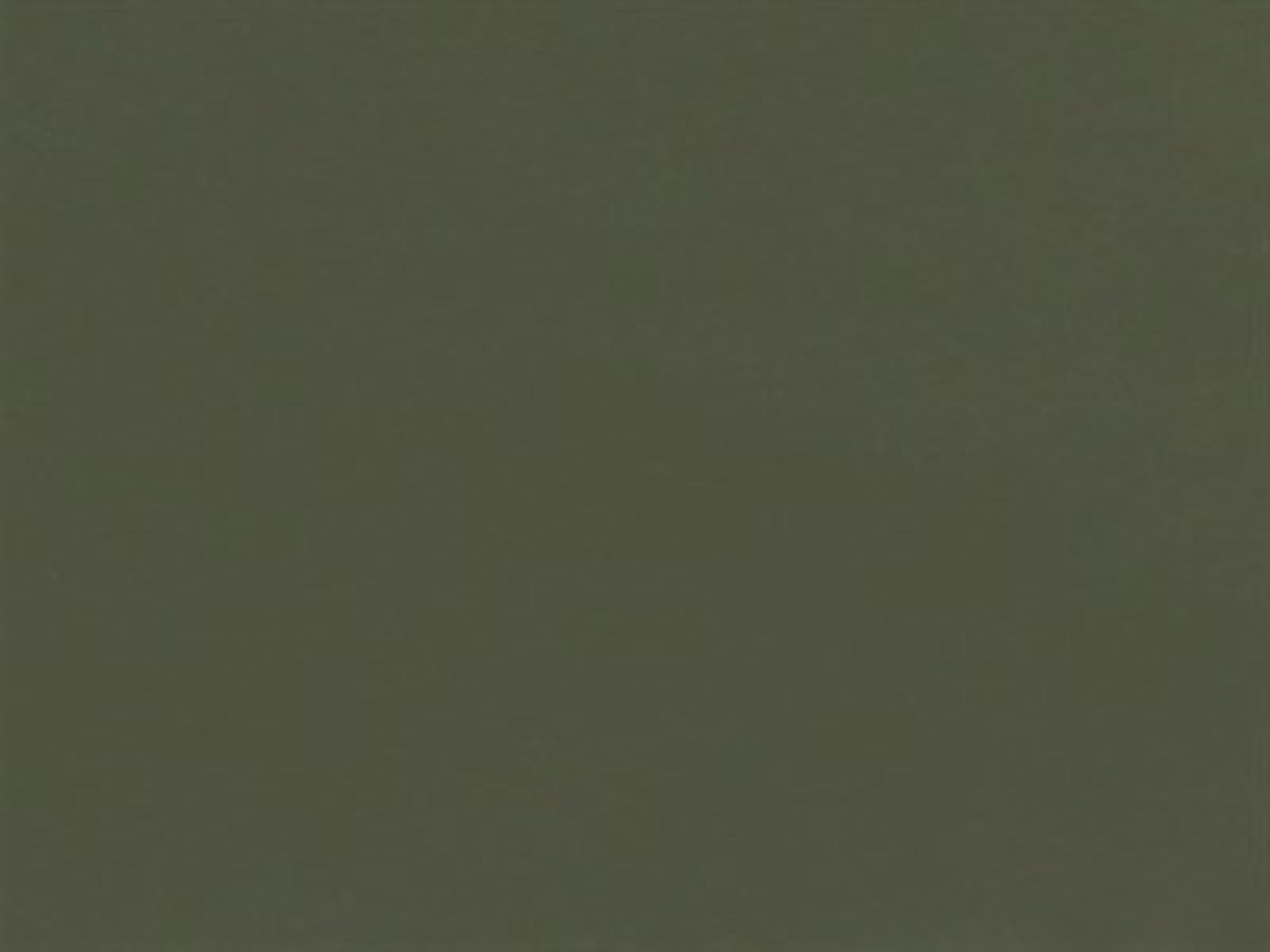 Back and Seat Color: Cypress Green - Recycled PET