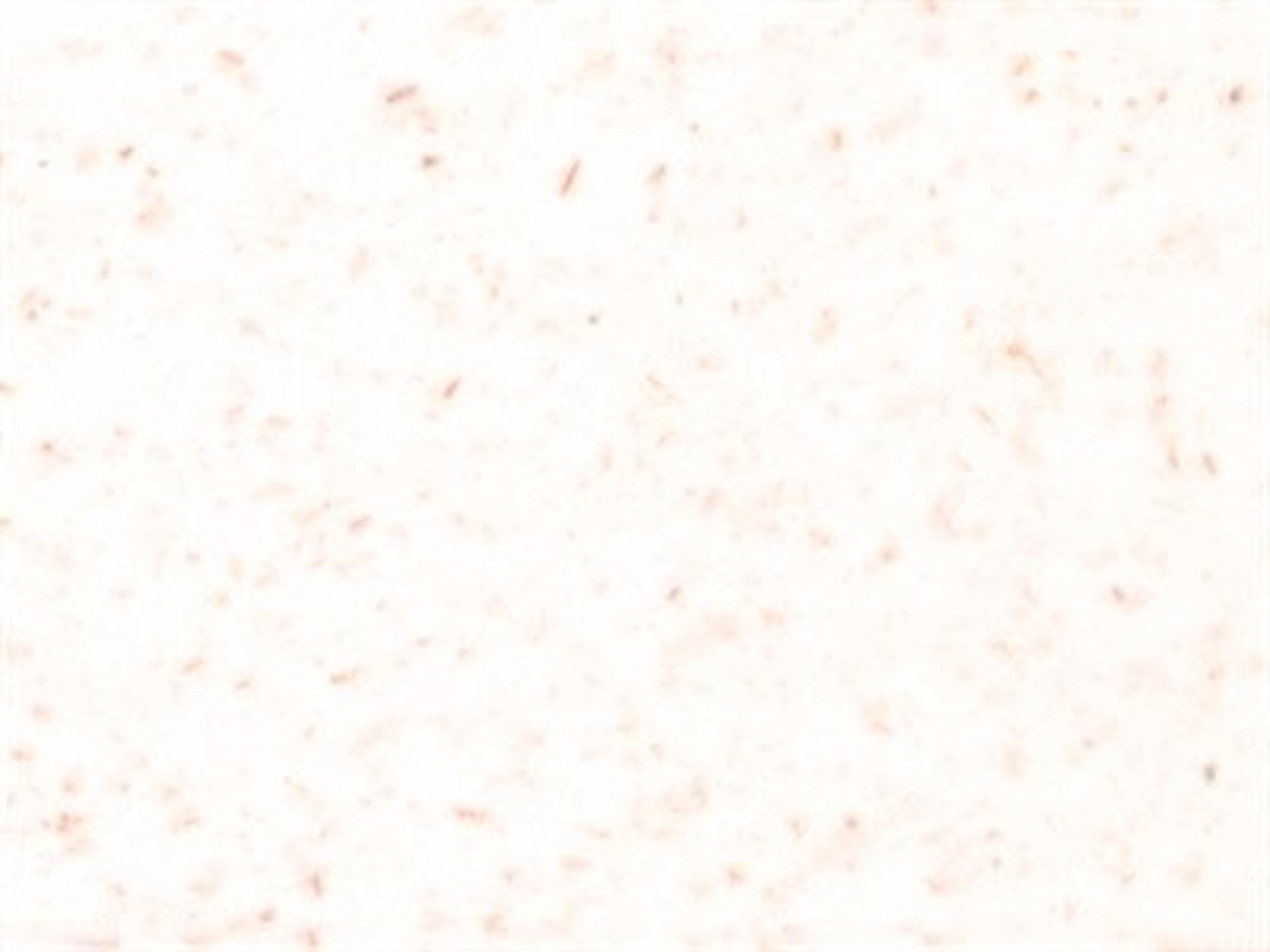 Finish: White - 100% Reclaimed polypropylene with wood fiber