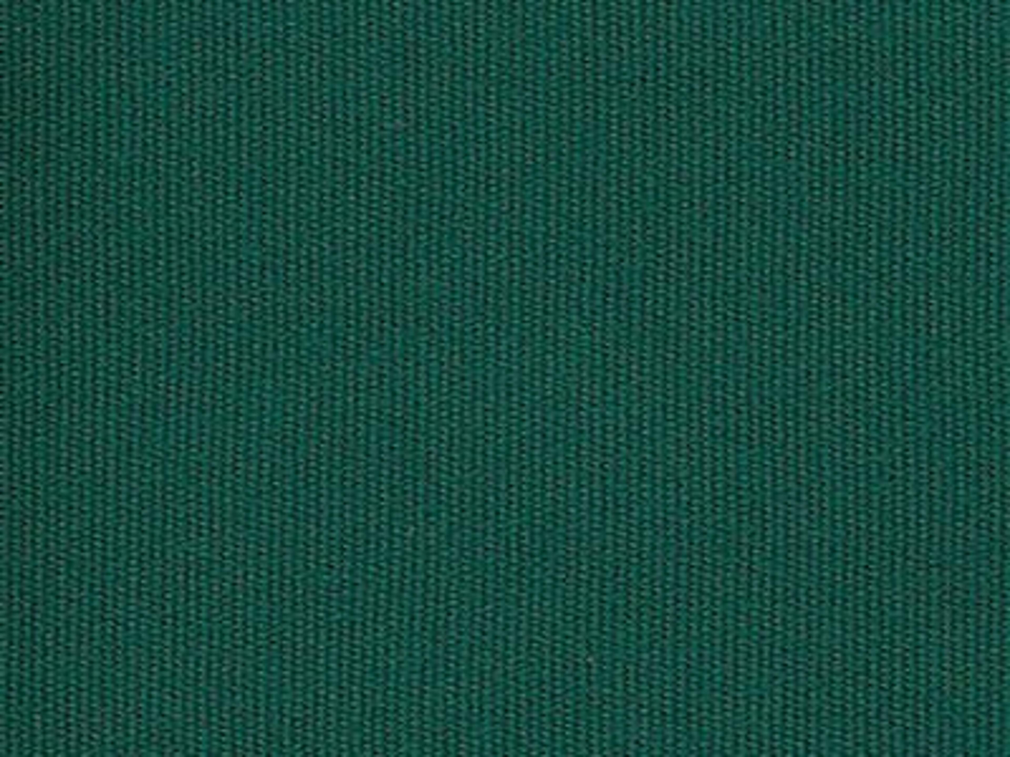 Fabric: Forest Green Solution Dyed Poly