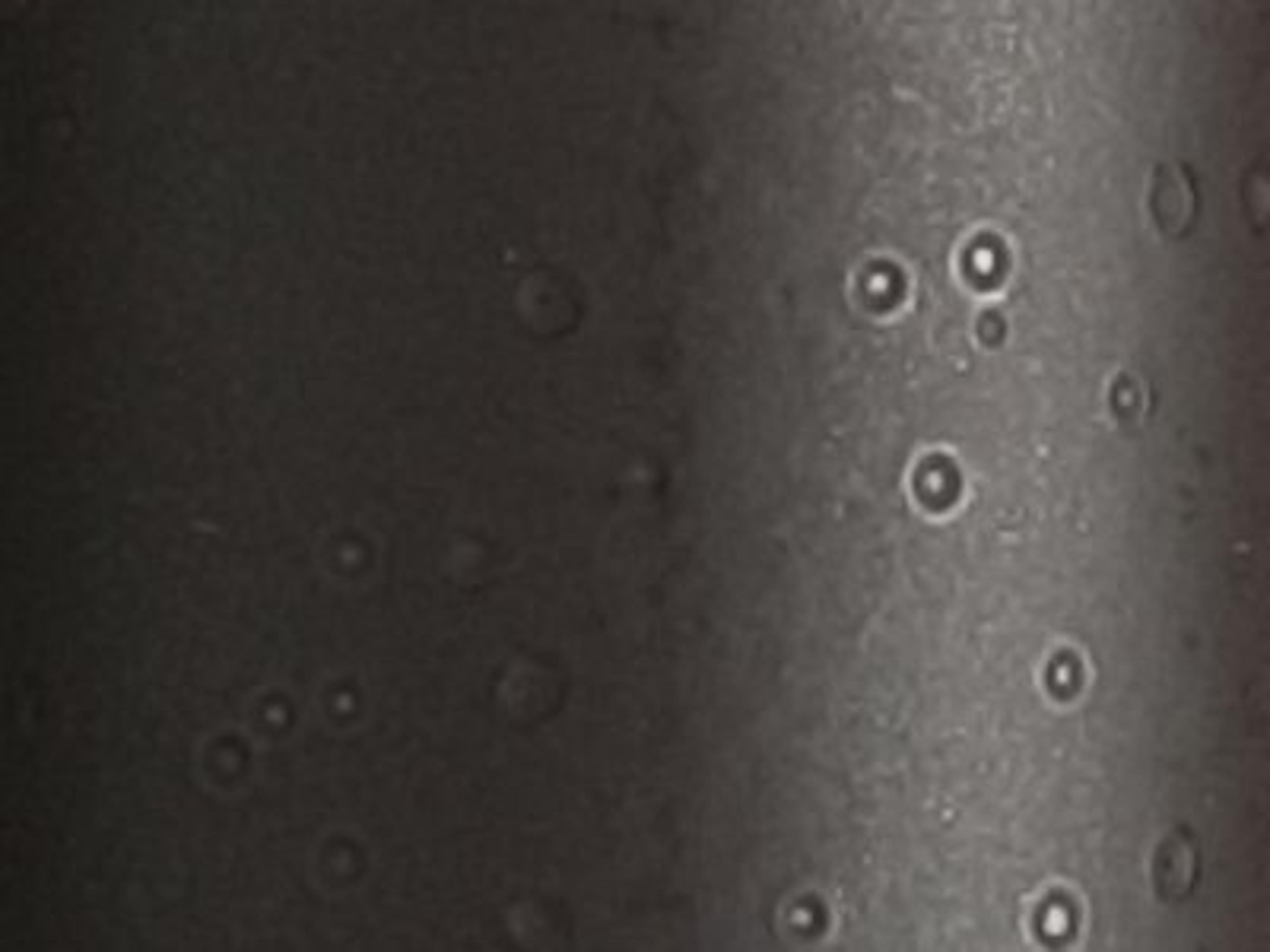 Finish: Antique Bronze