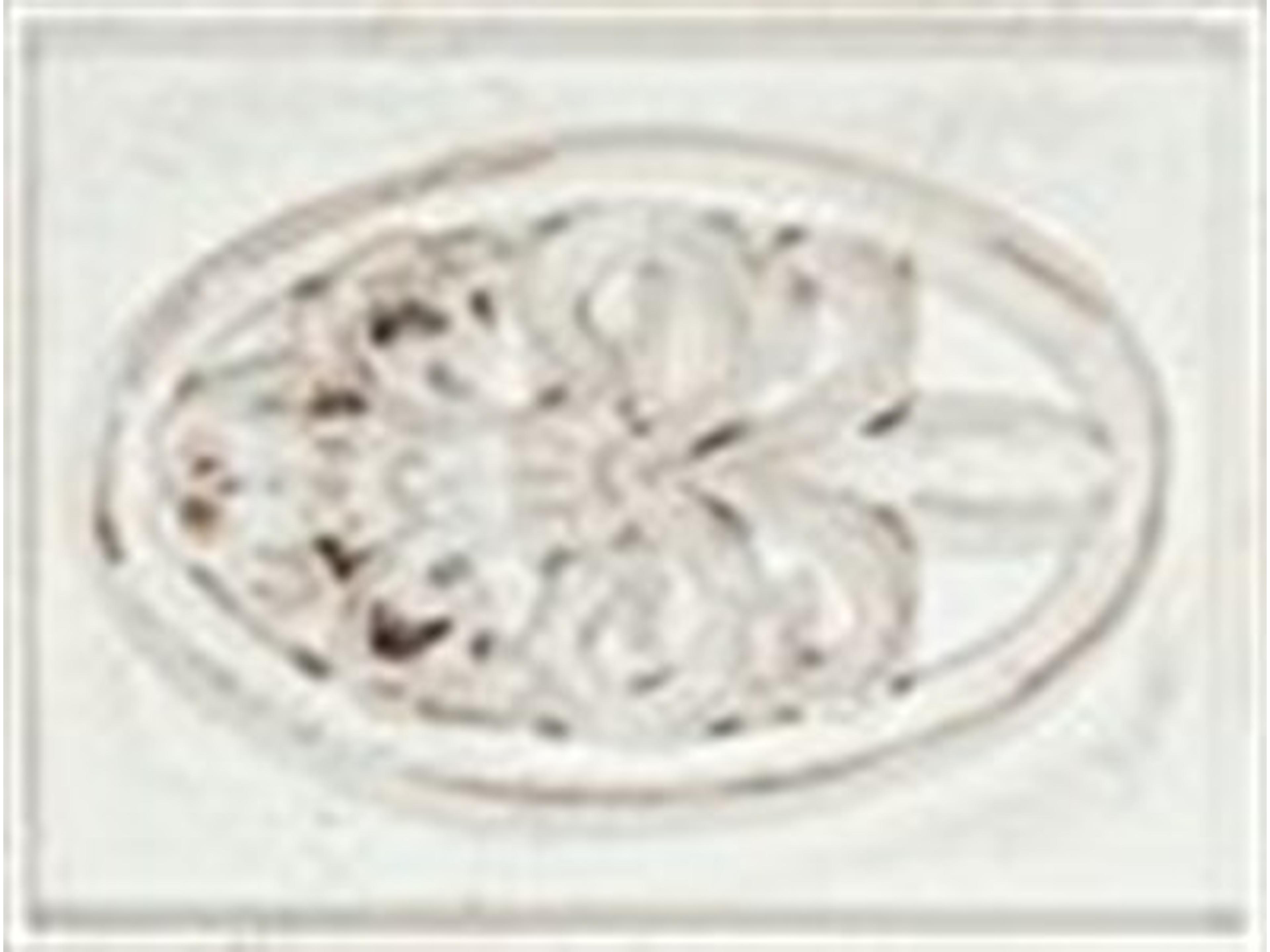 Finish: Classic White