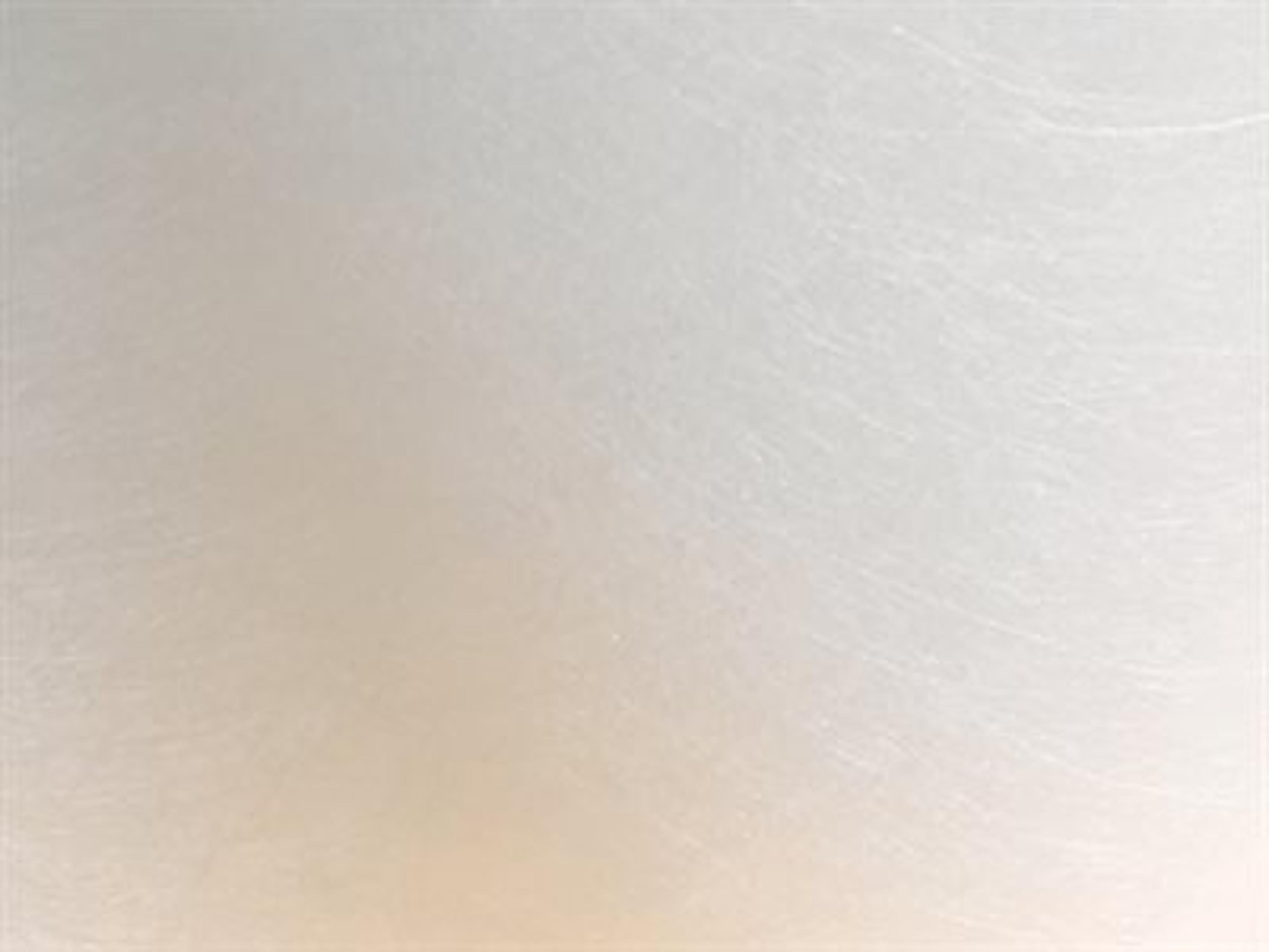 Shade Finish: Spun Frost