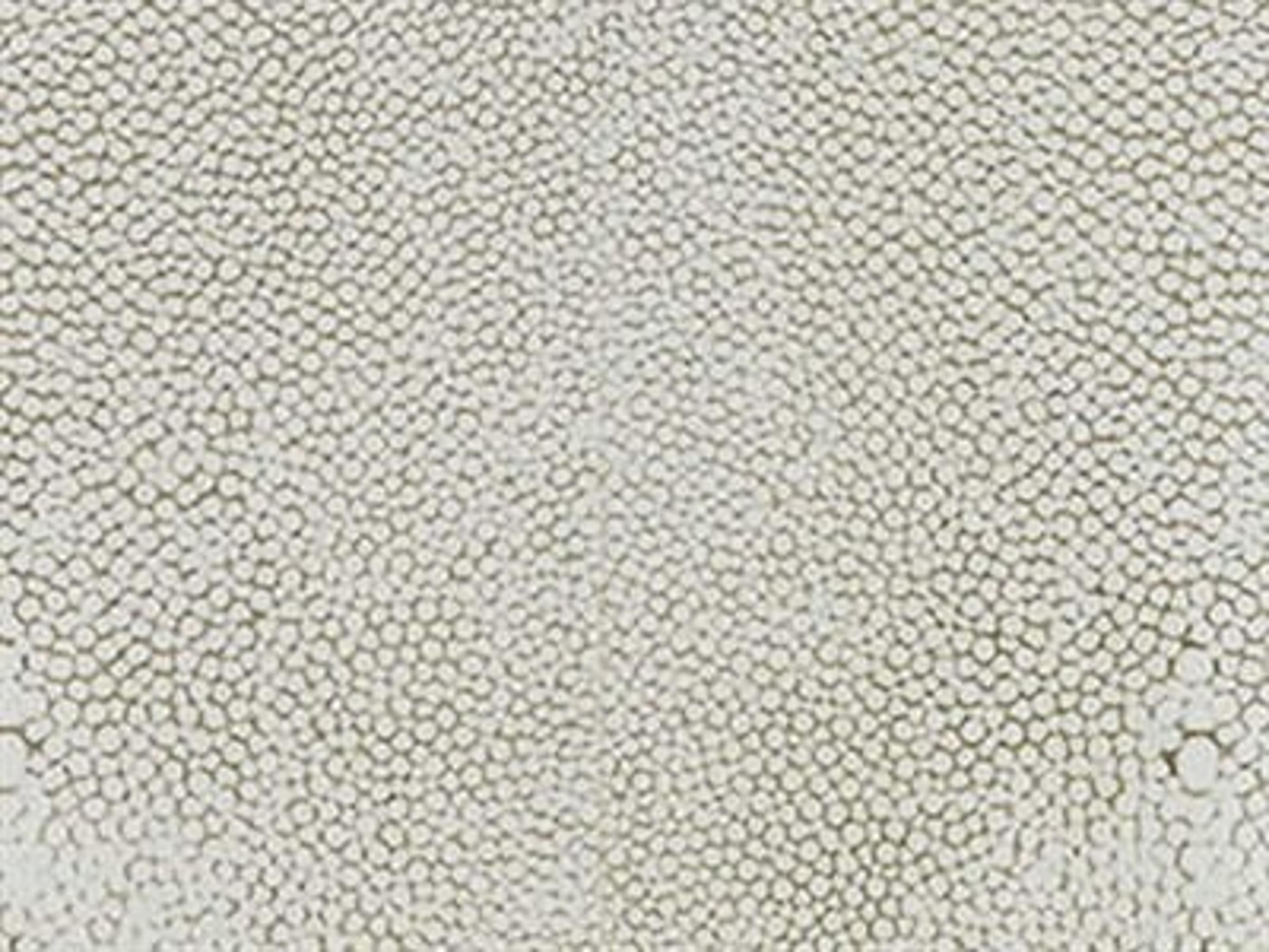 Door Finish: Ivory Shagreen