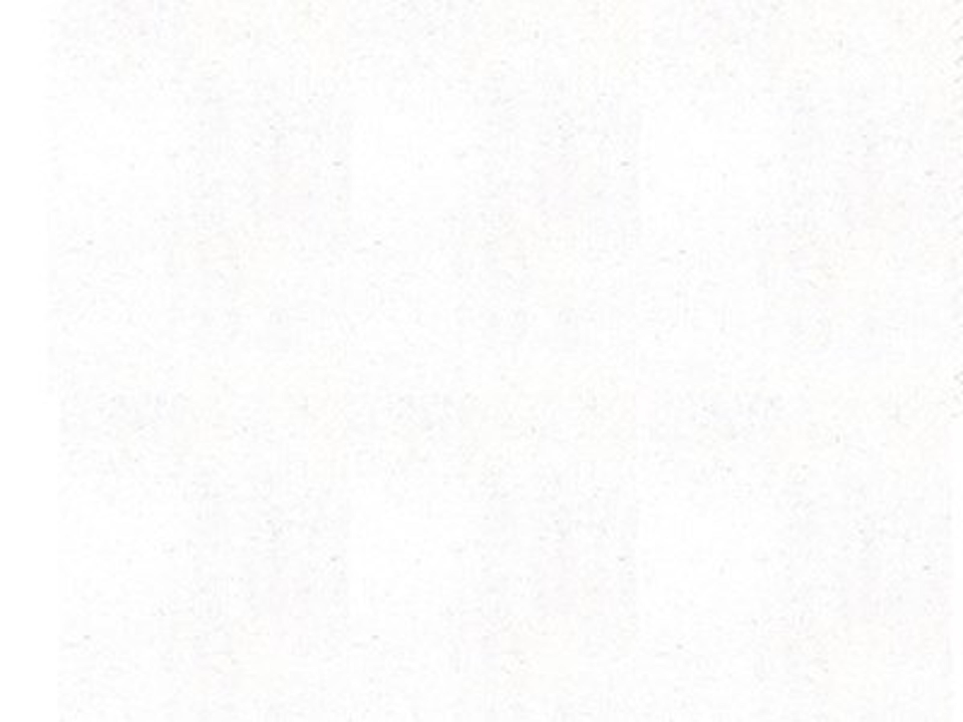 Welt: Tempotest Cortina White