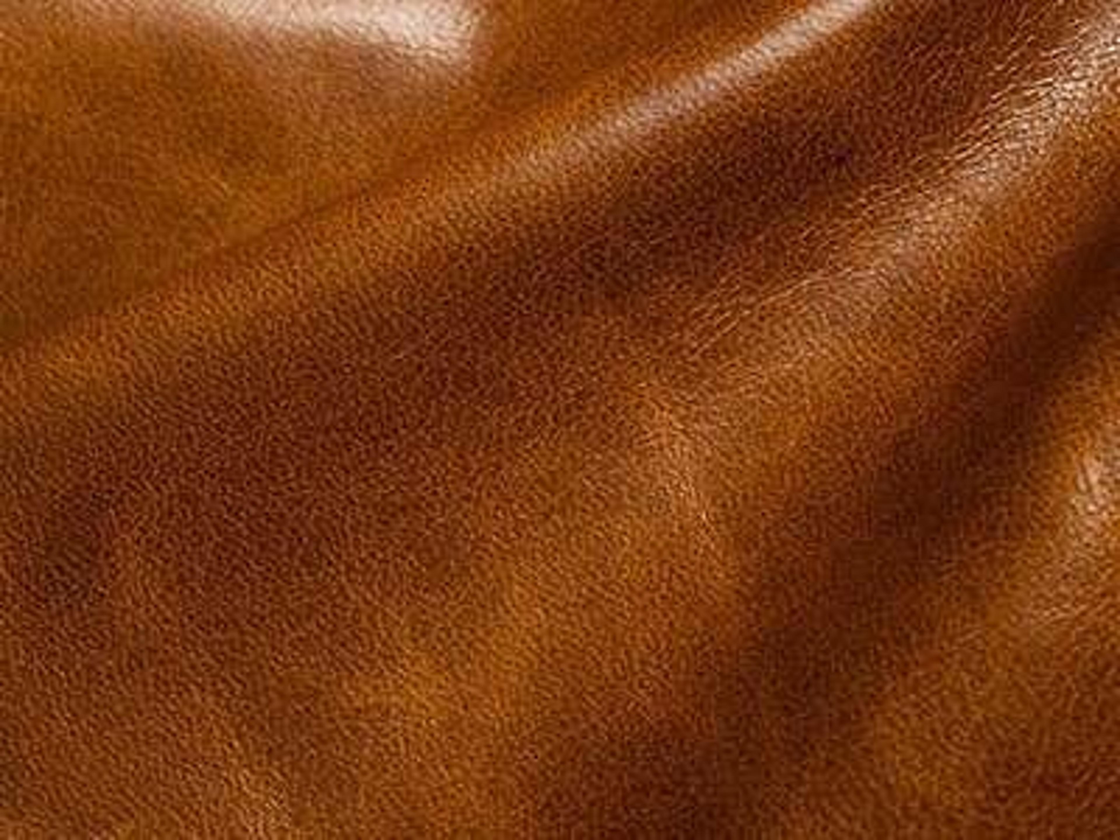 Upholstery: Gourmet Tobacco