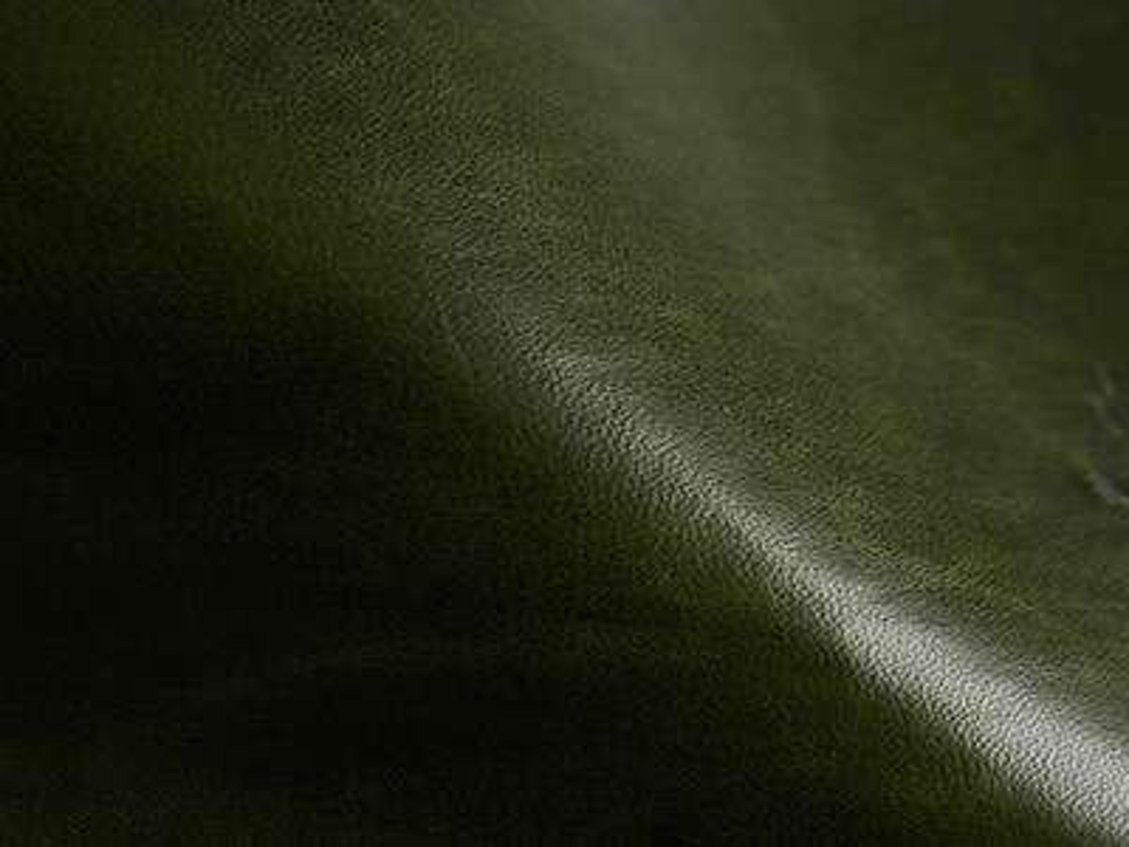 Upholstery: Gourmet Pine