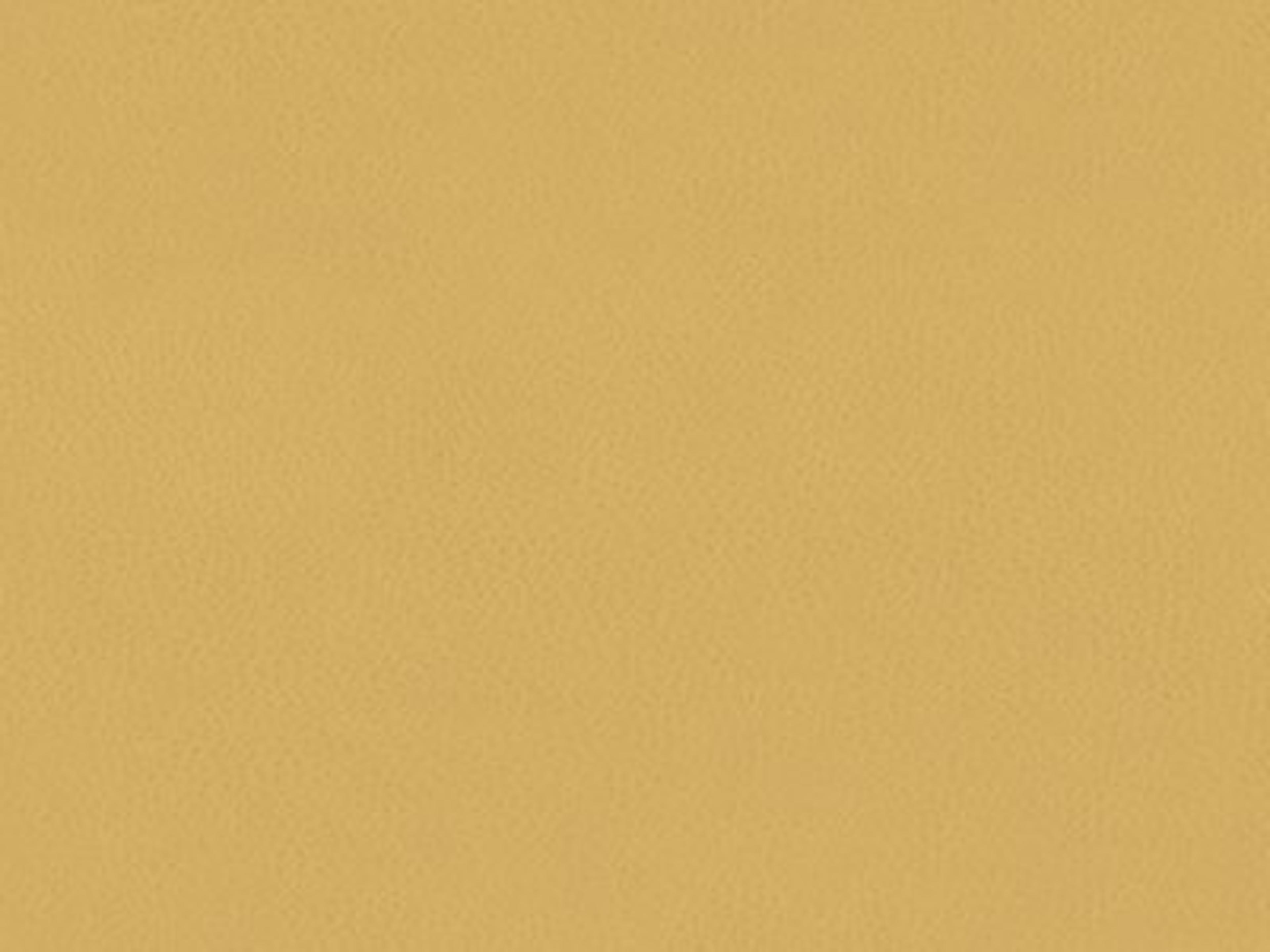 Chair Leather: 9629-11 - Protected - Leather